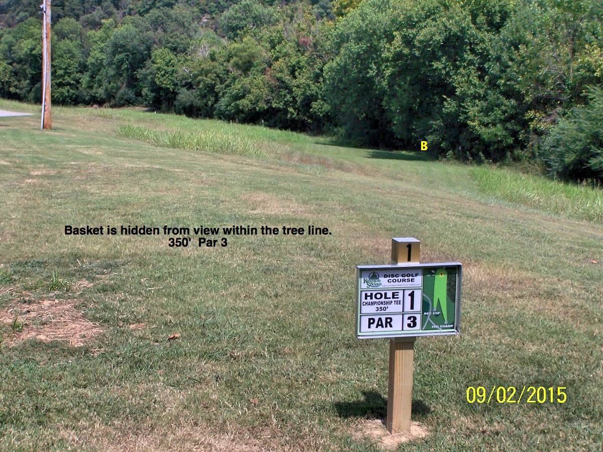 Hole 1 • LL Burns Park (Kingston Springs, TN) Disc Golf Courses