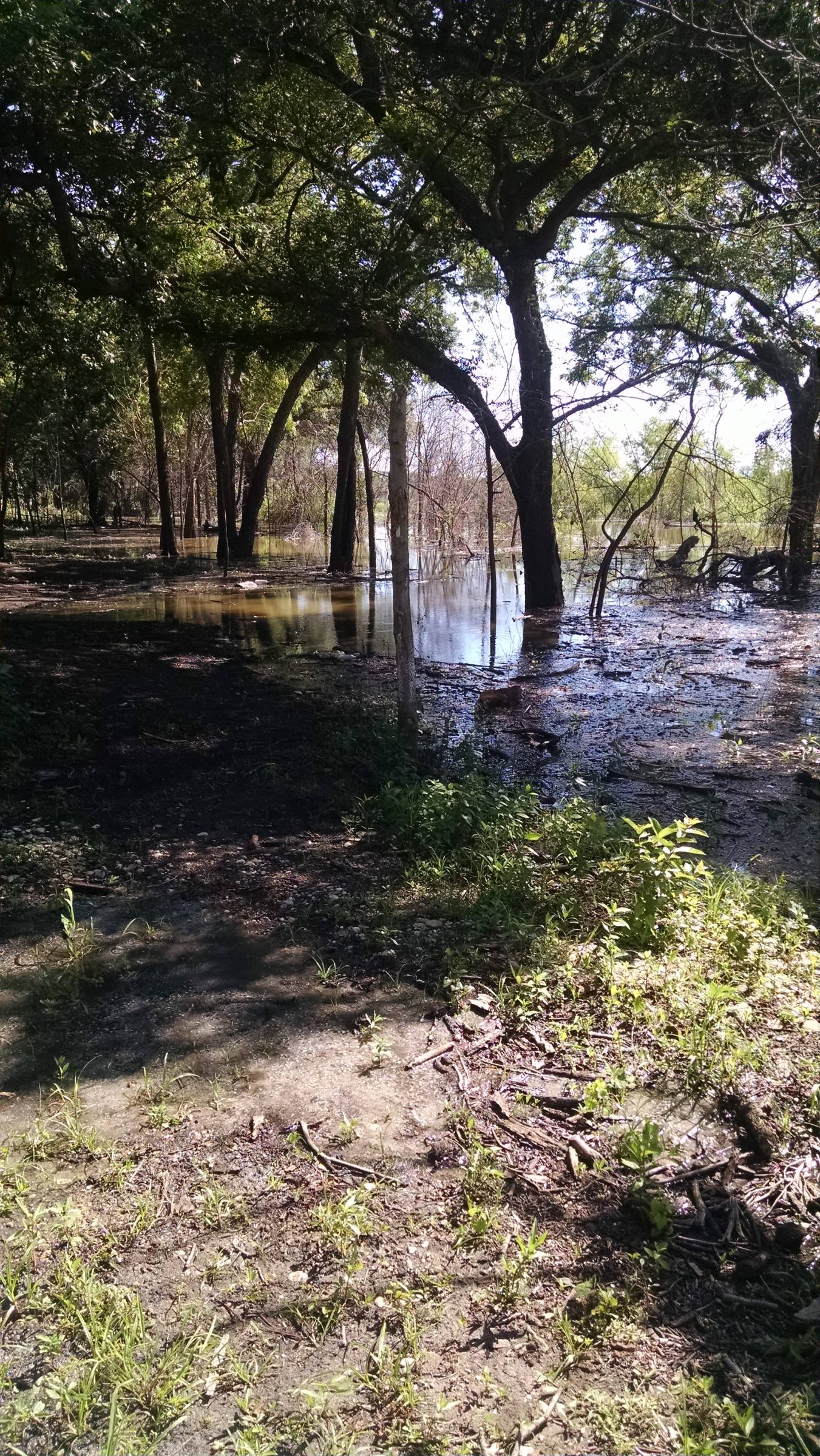 Hole 11 • Trophy Club Park (Trophy Club, TX) Disc Golf Courses Disc