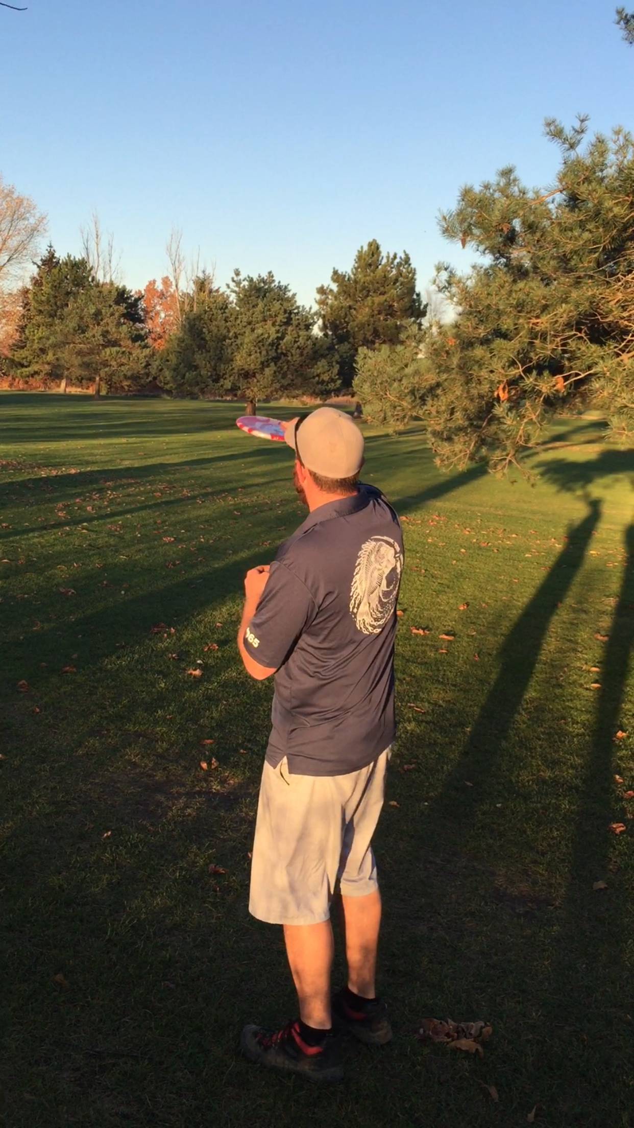 Hole 4 • Yankee Springs Golf Course (Wayland, MI) Disc Golf Courses