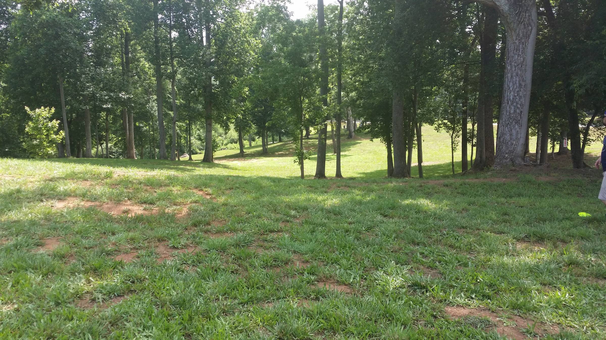 Hole 1 • Hobbs Farm (Carrollton, GA) Disc Golf Courses Disc Golf Scene