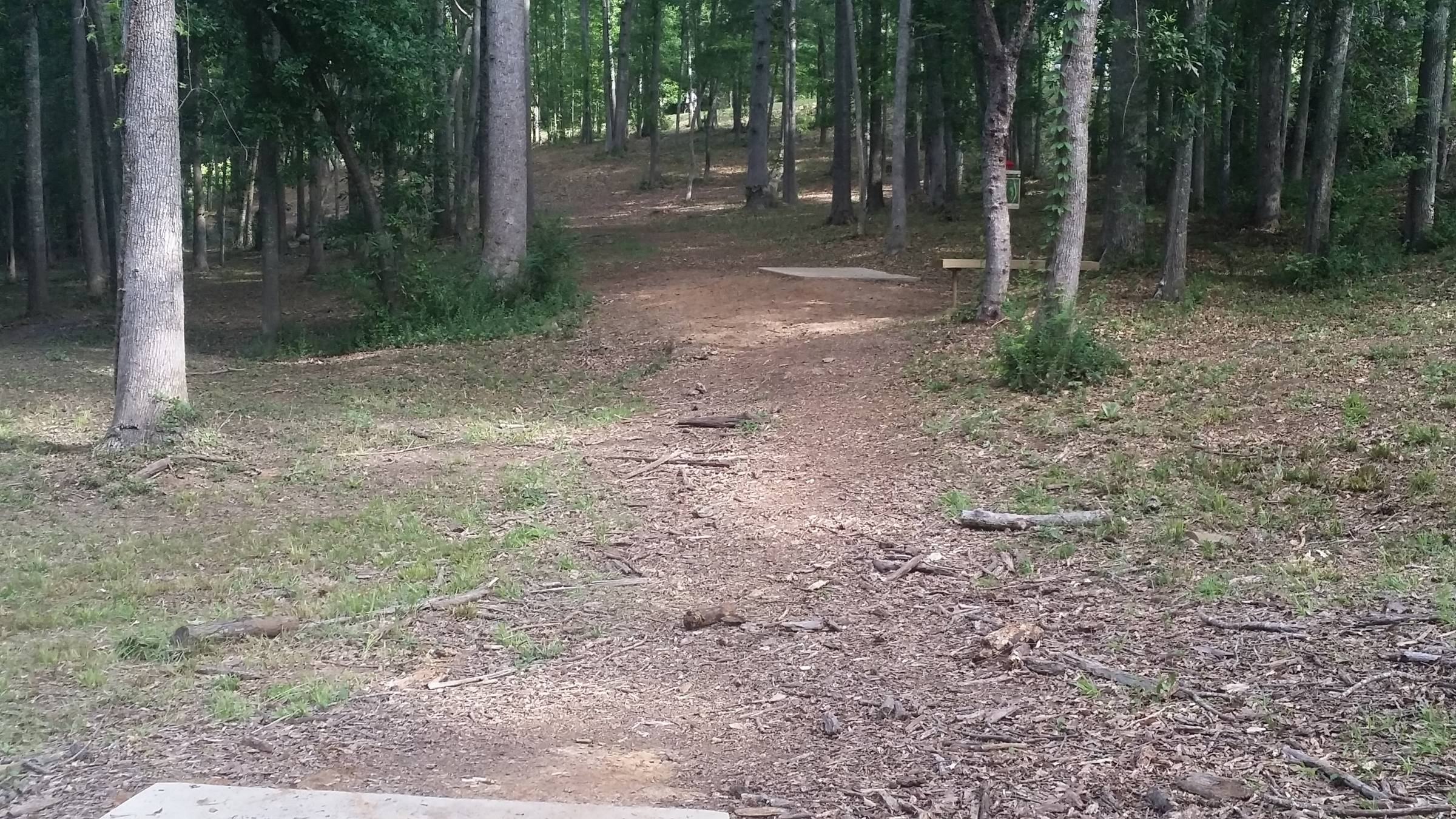 Hole 9 • Hobbs Farm (Carrollton, GA) Disc Golf Courses Disc Golf Scene