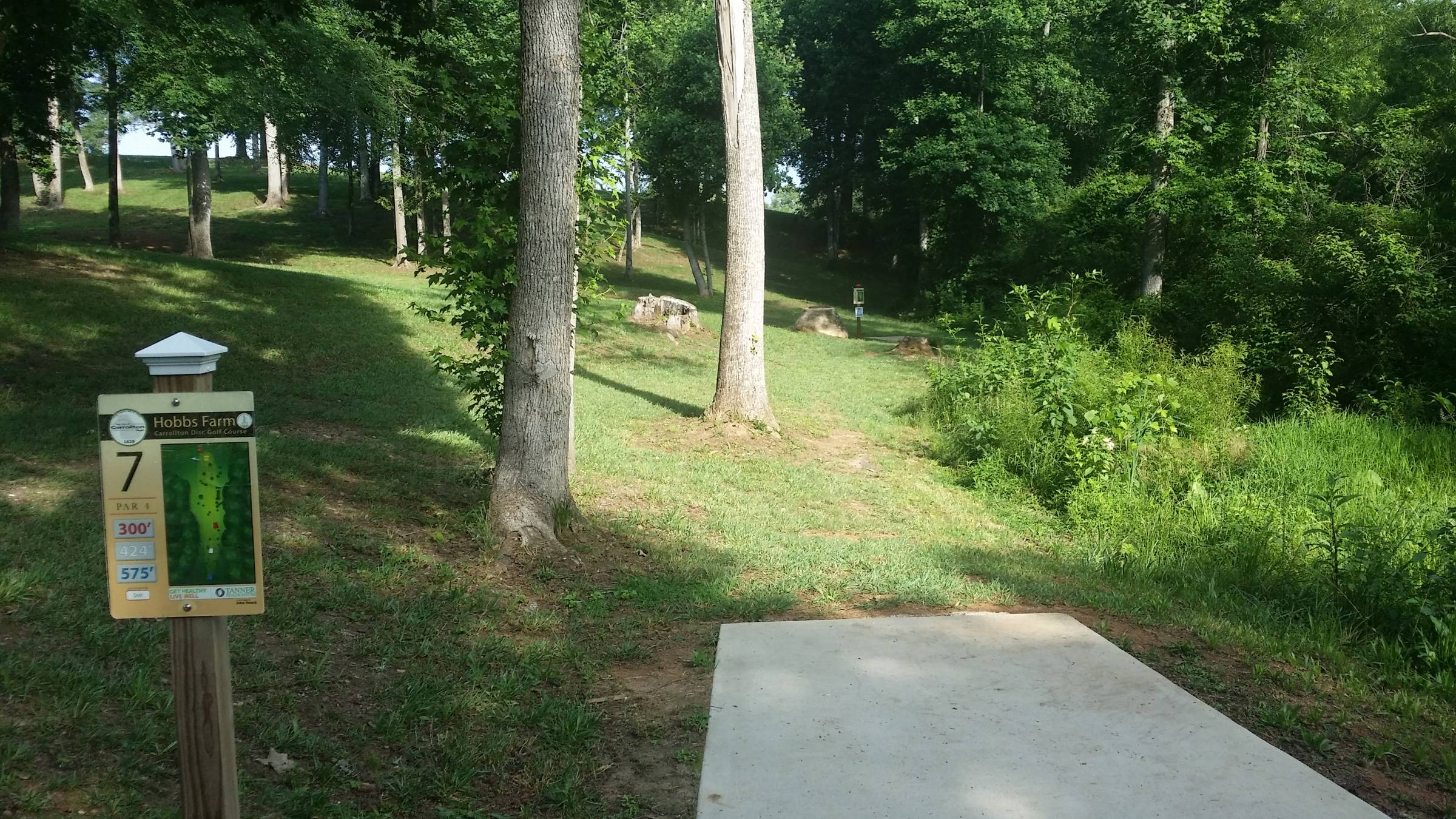 Hole 7 • Hobbs Farm (Carrollton, GA) Disc Golf Courses Disc Golf Scene