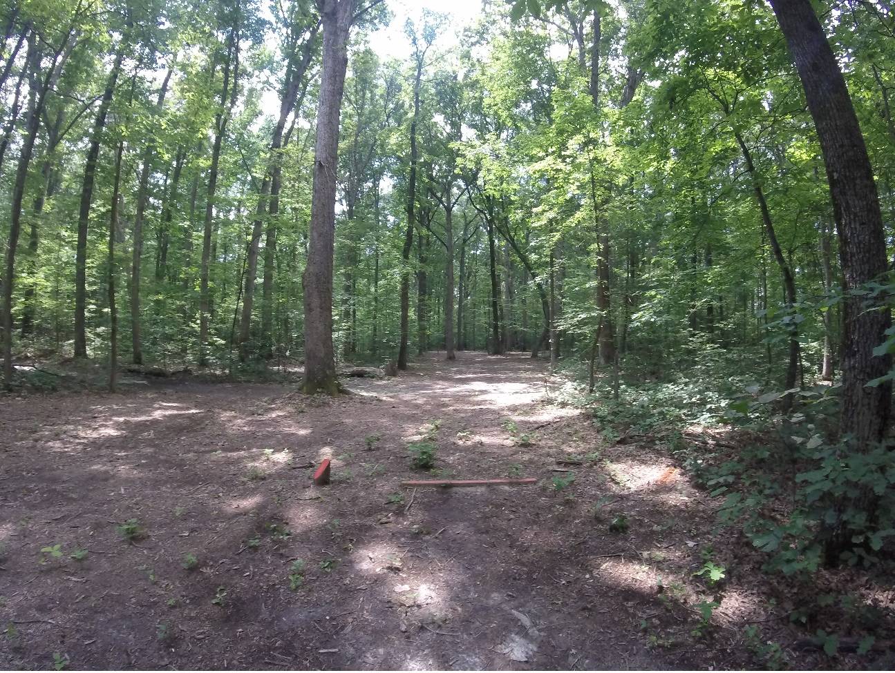 Hole 3 • Curtis Memorial Park (Fredericksburg, VA) Disc Golf Courses