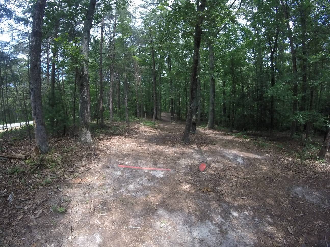Hole 10 • Curtis Memorial Park (Fredericksburg, VA) Disc Golf Courses