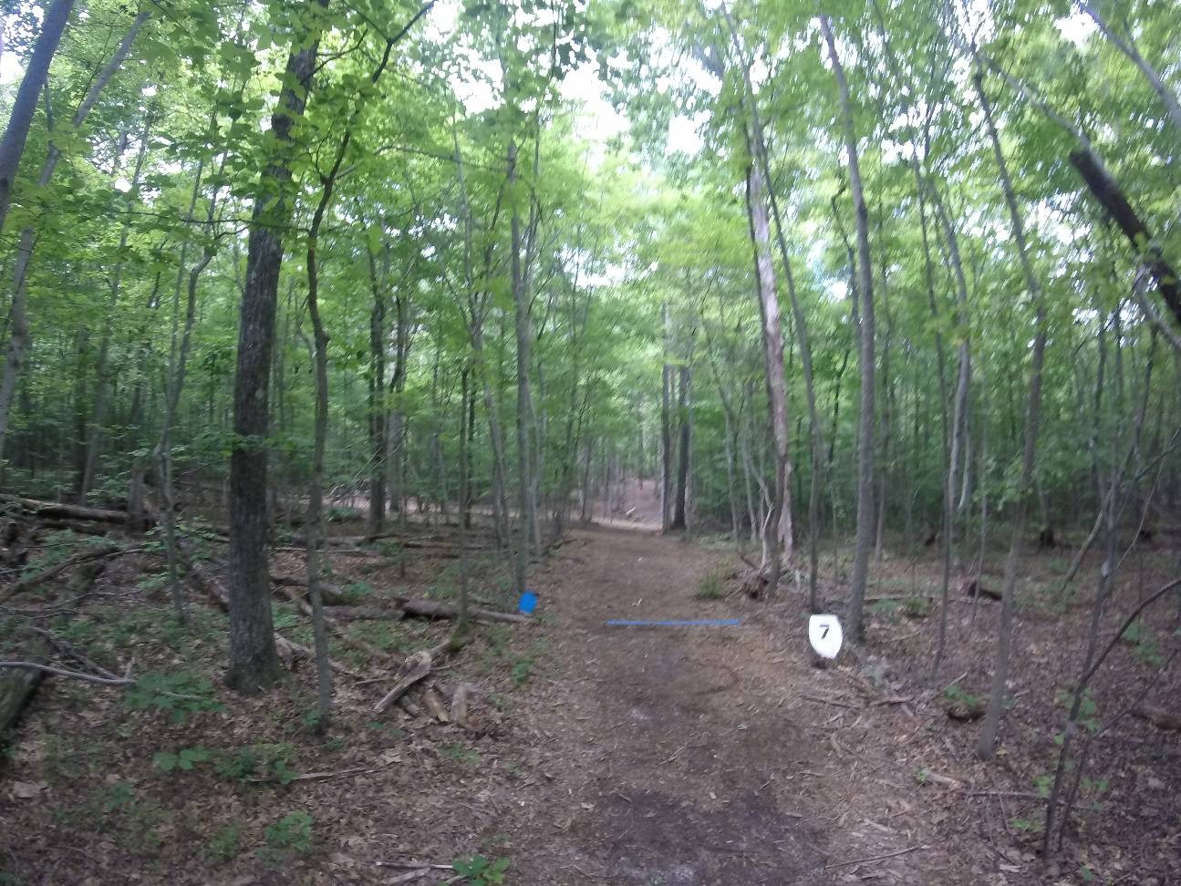 Hole 7 • Curtis Memorial Park (Fredericksburg, VA) Disc Golf Courses