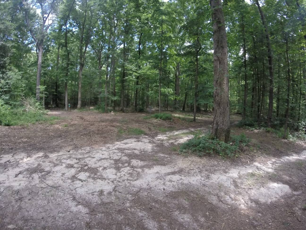Hole 1 • Curtis Memorial Park (Fredericksburg, VA) Disc Golf Courses
