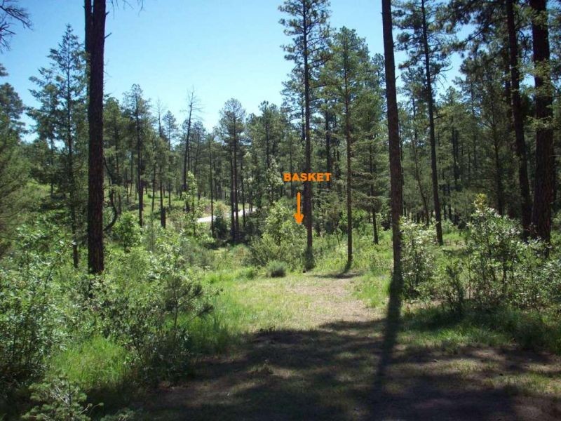 Hole 1 • Grindstone Park (Ruidoso, NM) Disc Golf Courses Disc Golf