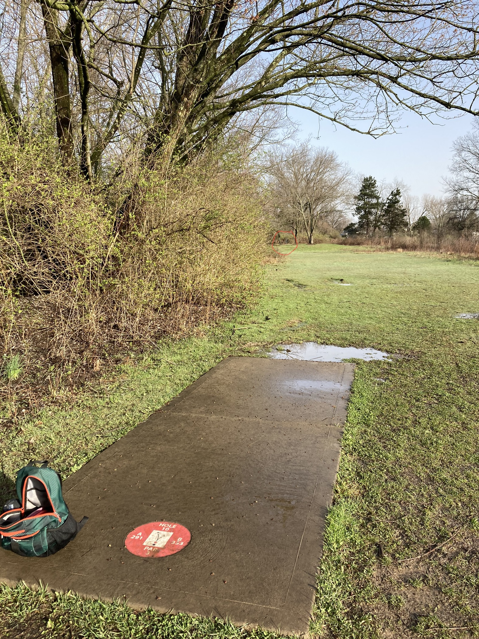 Hole 10 • Walnut Hill DGC (Columbus, OH) Disc Golf Courses Disc
