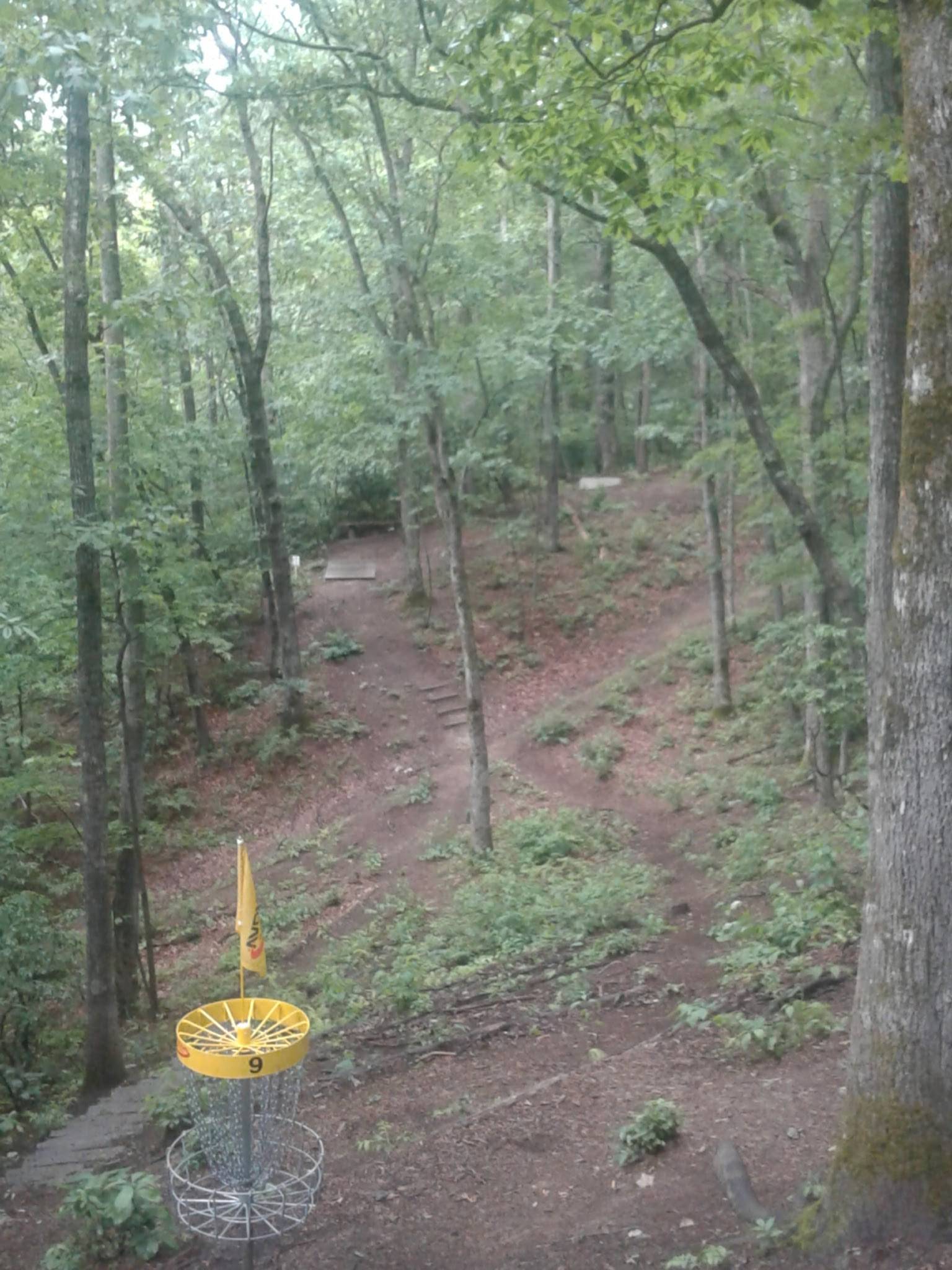 Hole 9 • Jackson Park (Hendersonville, NC) Disc Golf Courses Disc