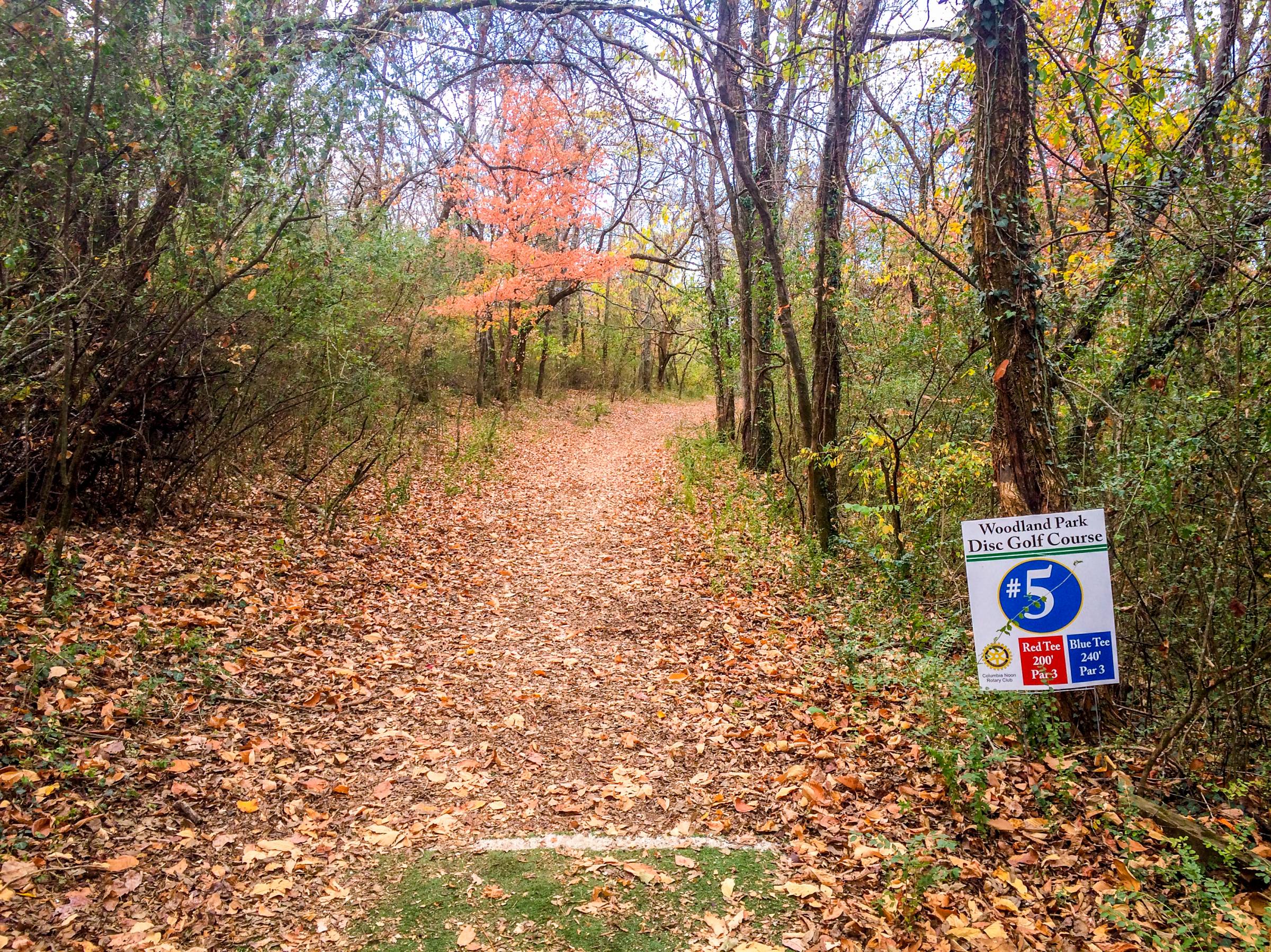 Hole 5 • Woodland Park (Columbia, TN) Disc Golf Courses Disc Golf Scene