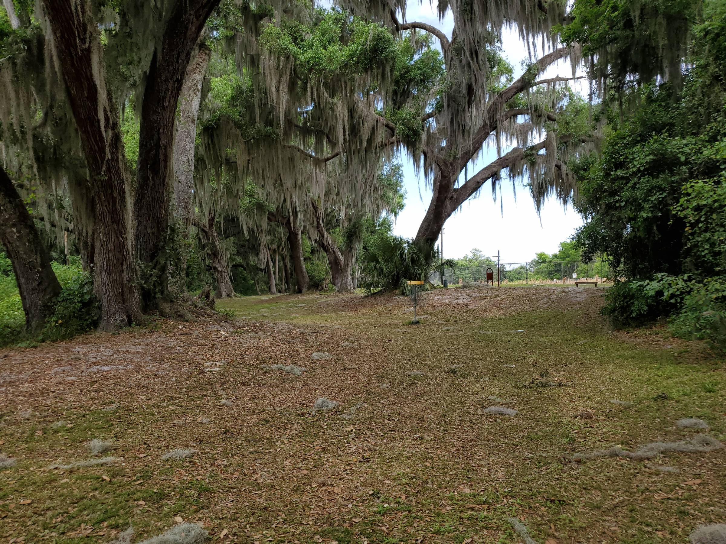 Hole 5 • Lake Okahumpka Park (Wildwood, FL) Disc Golf Courses Disc