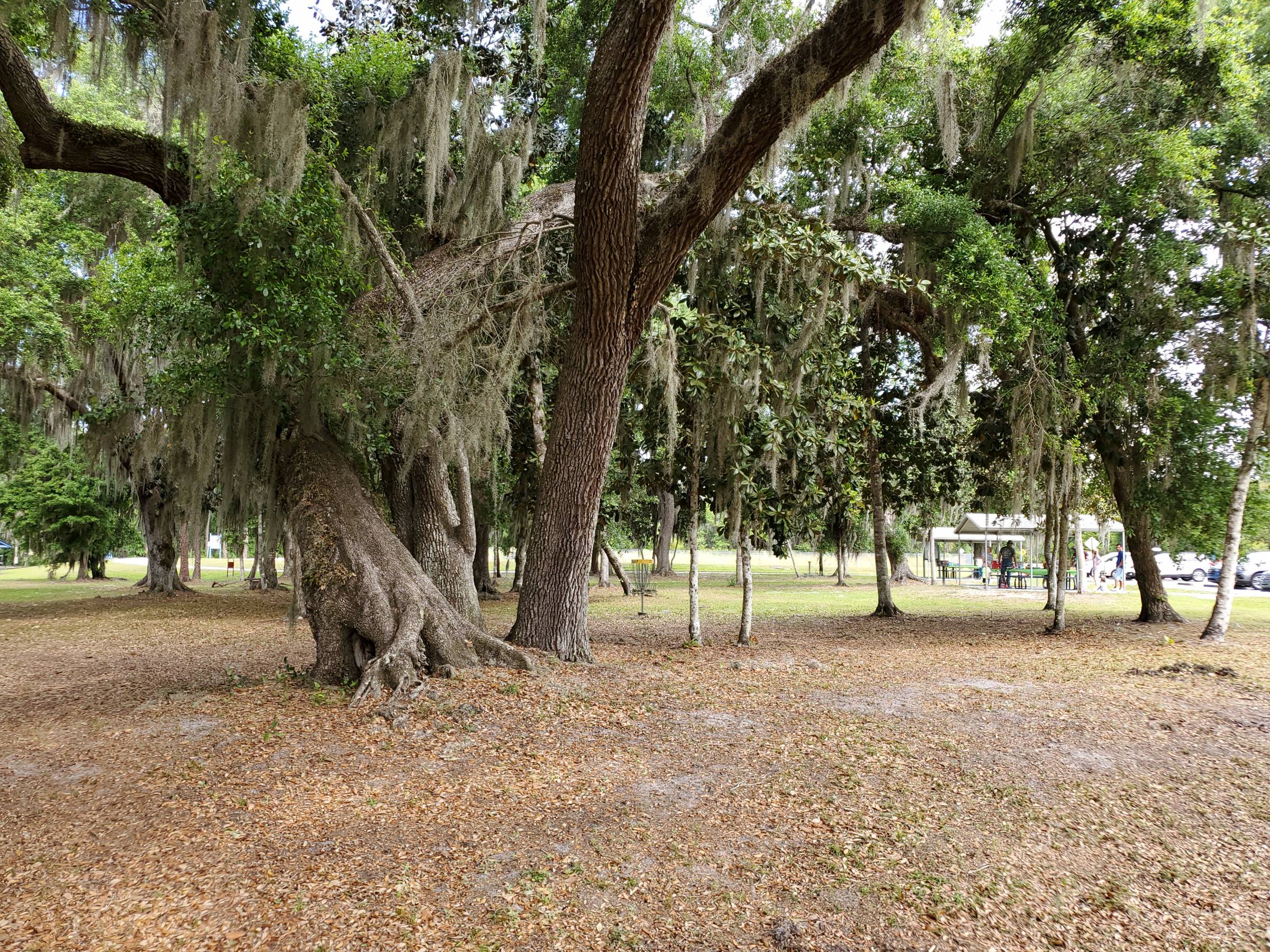 Hole 7 • Lake Okahumpka Park (Wildwood, FL) Disc Golf Courses Disc