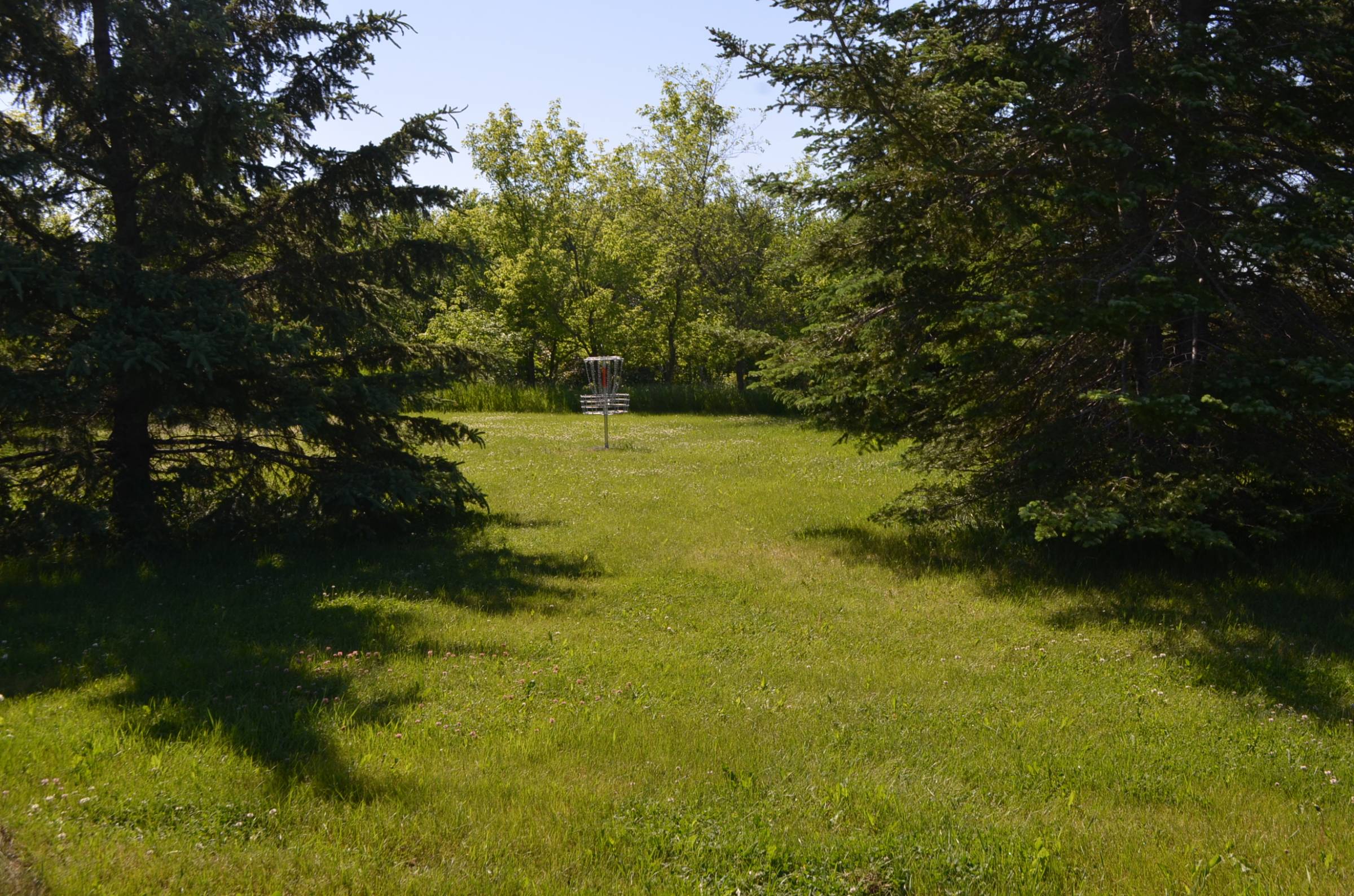 Hole 5 • BerthaHewitt School (Bertha, MN) Disc Golf Courses Disc