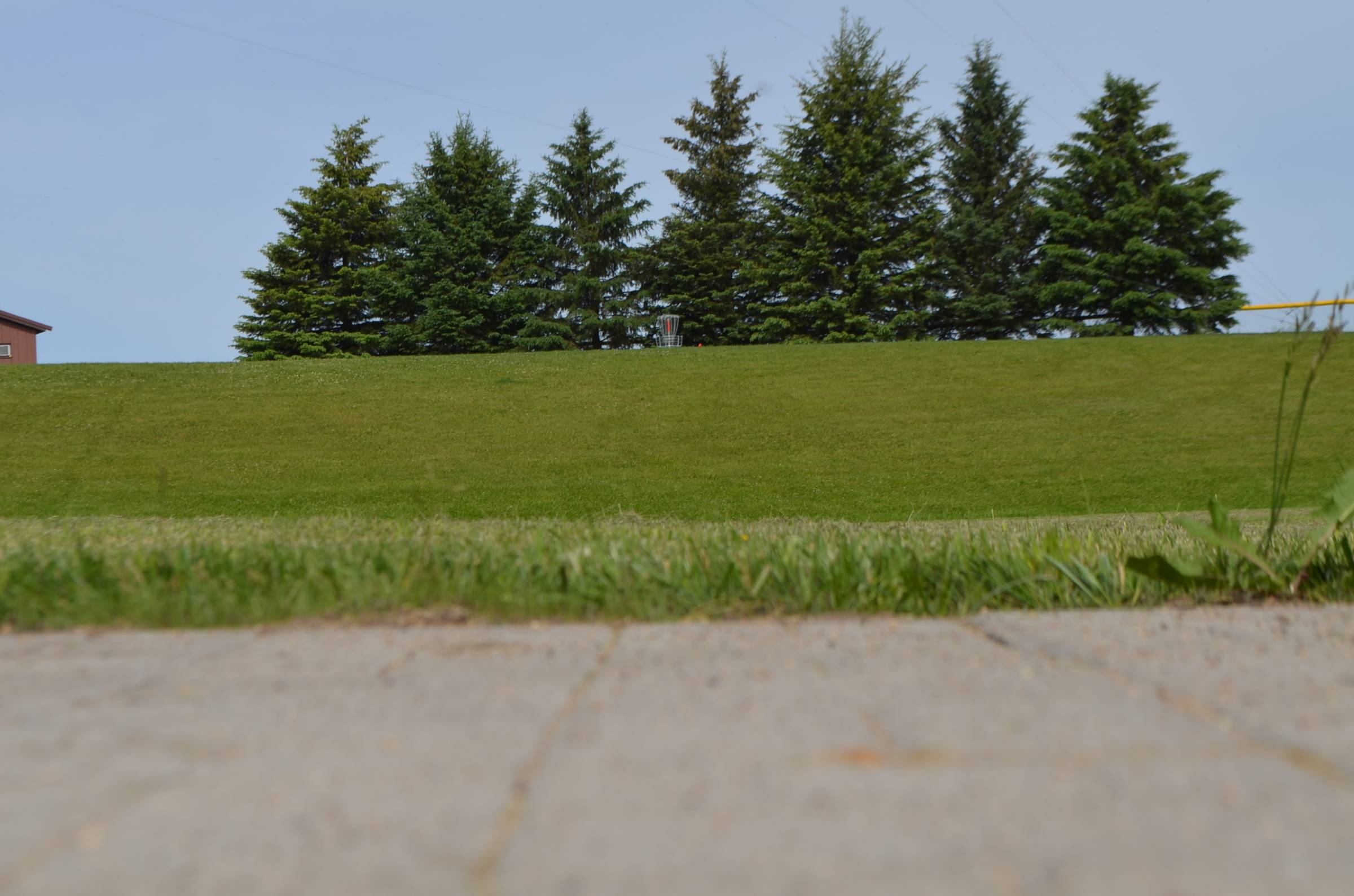 Hole 7 • BerthaHewitt School (Bertha, MN) Disc Golf Courses Disc