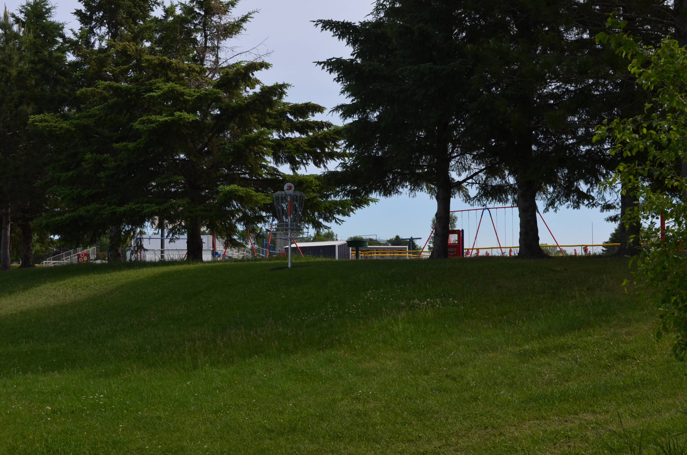 Hole 3 • BerthaHewitt School (Bertha, MN) Disc Golf Courses Disc