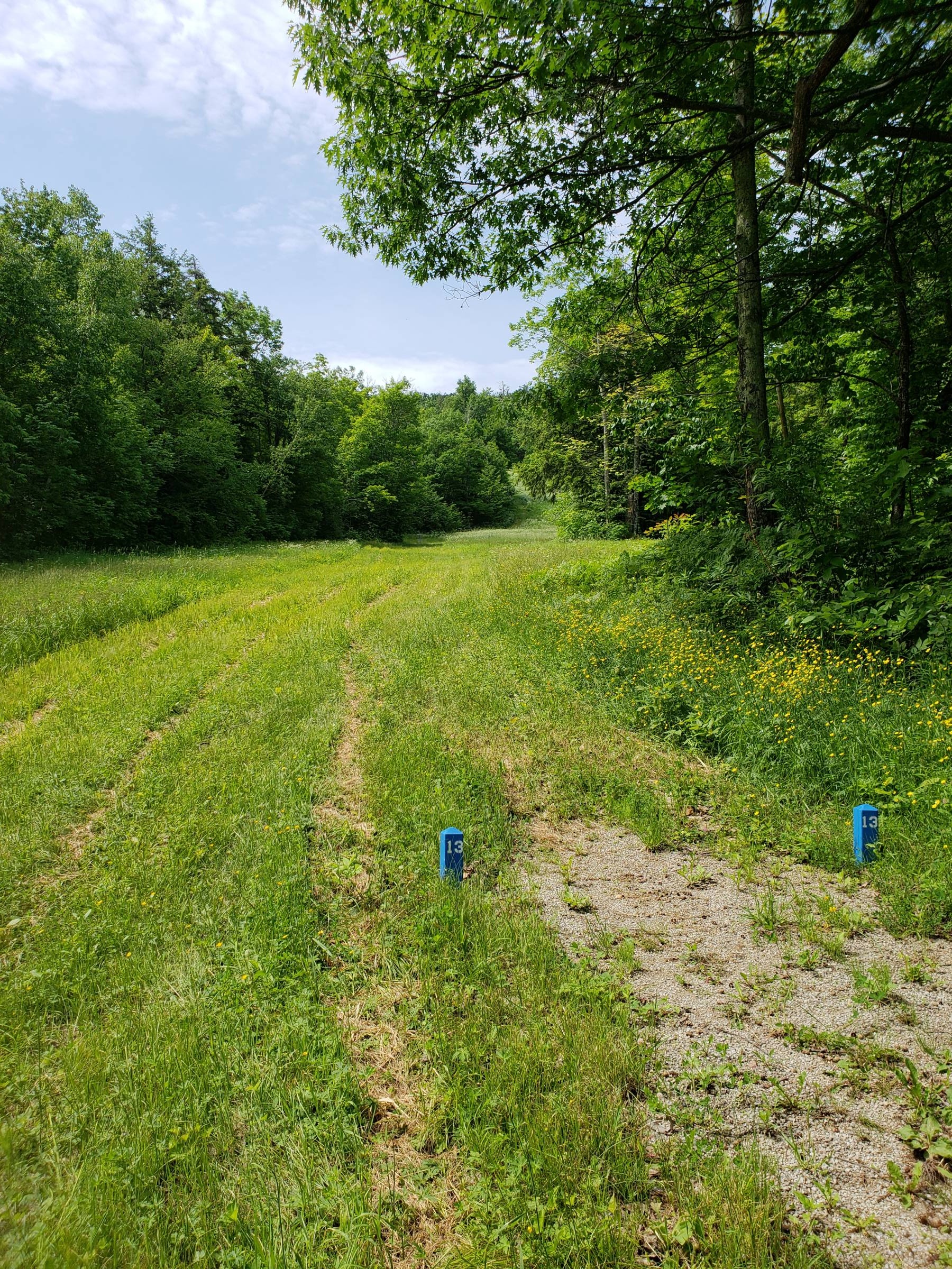 Hole 13 • Porcupine Mountains Sports Complex DGC (Ontonagon, MI) Disc