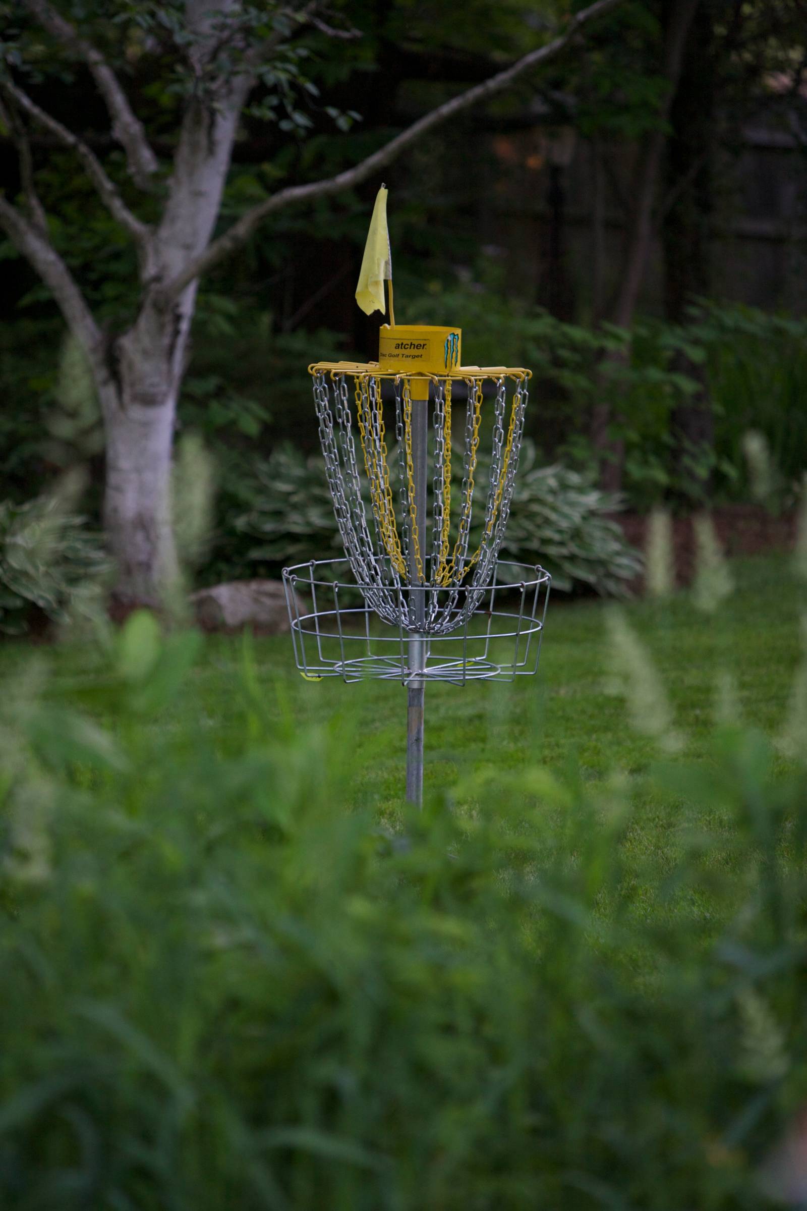 Hole 13 • Three Acres Park (Byron Center, MI) Disc Golf Courses