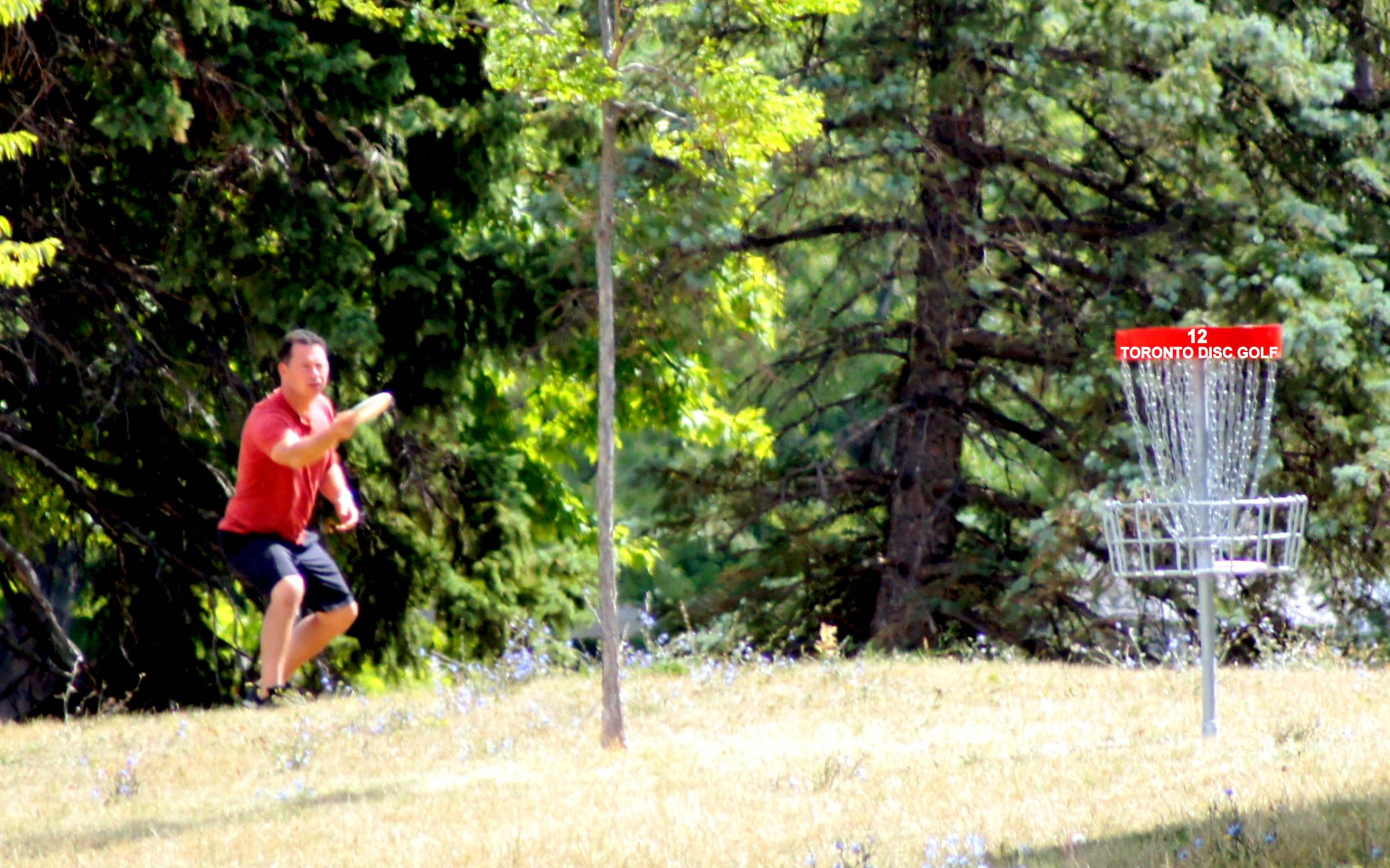 Hole 12 • Ontario Course / Centennial Park (Etobicoke, ON) Disc Golf
