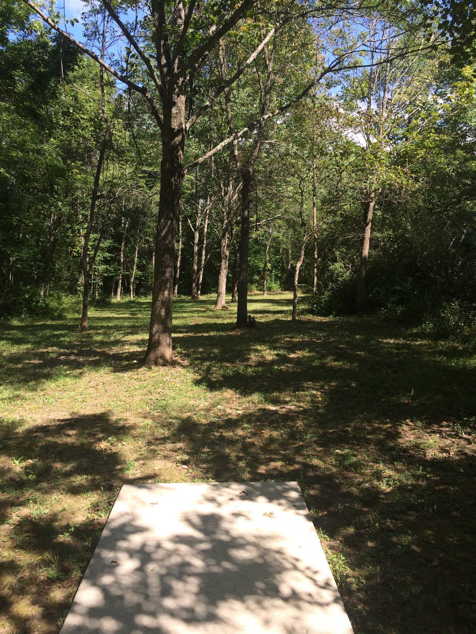 Hole 8 • Deer Creek State Park (Mount Sterling, OH) Disc Golf Courses