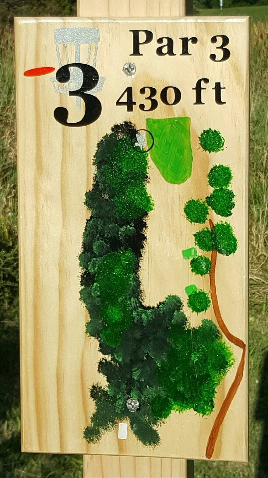 Hole 3 • South course / Pine Hills DGC (Laingsburg, MI) Disc Golf