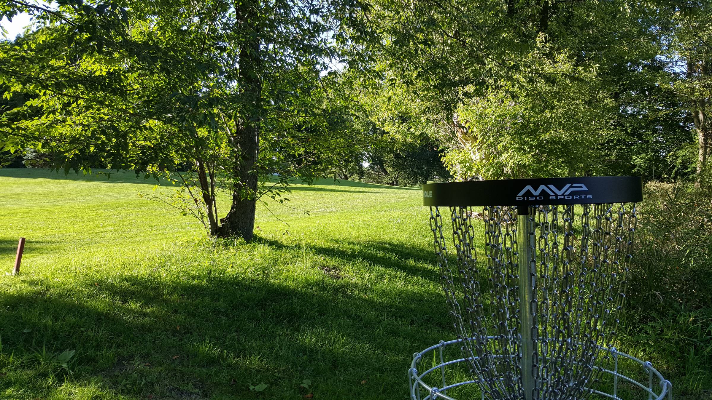 Hole 1 • South course / Pine Hills DGC (Laingsburg, MI) Disc Golf