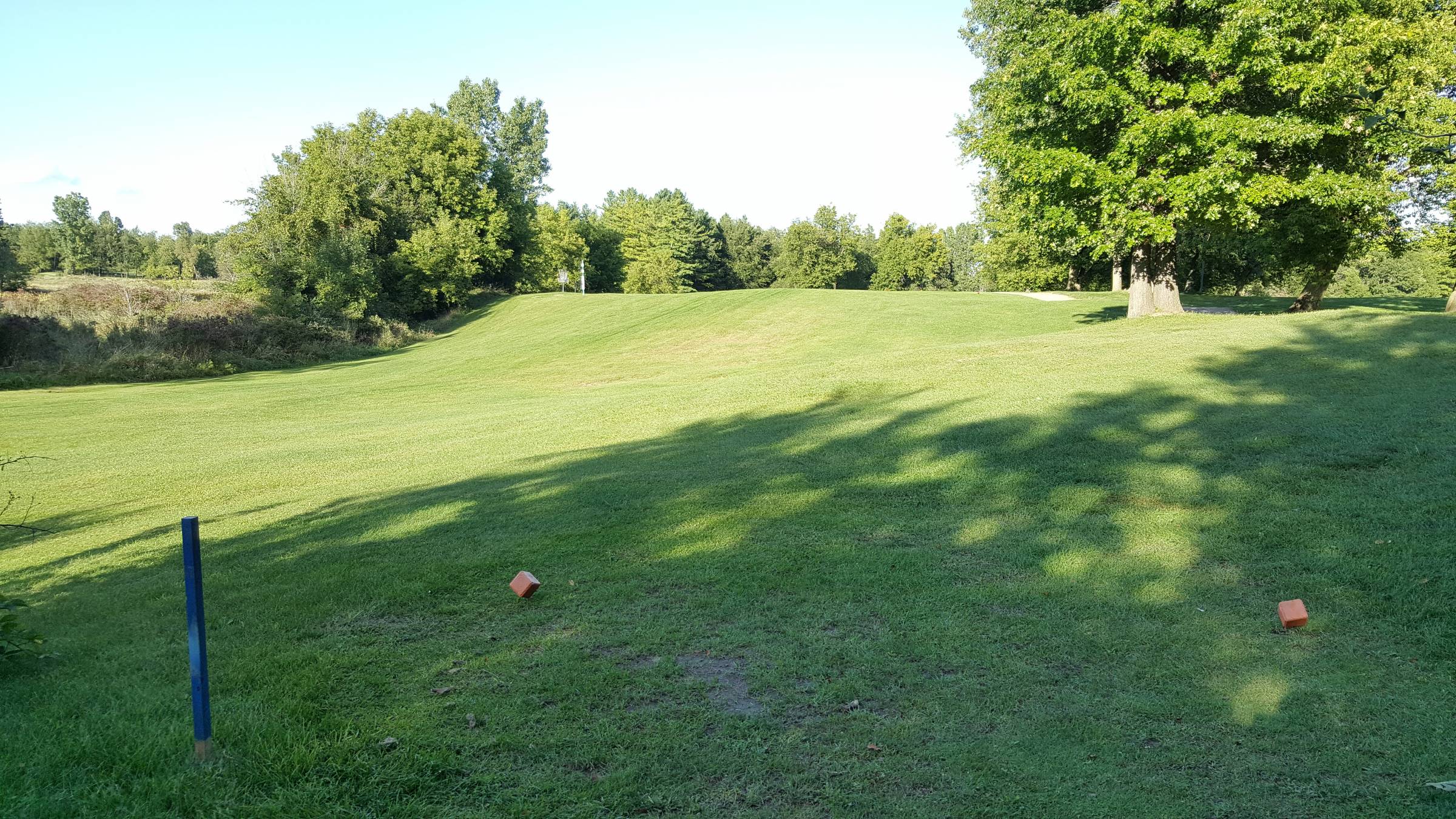 Hole 3 • South course / Pine Hills DGC (Laingsburg, MI) Disc Golf