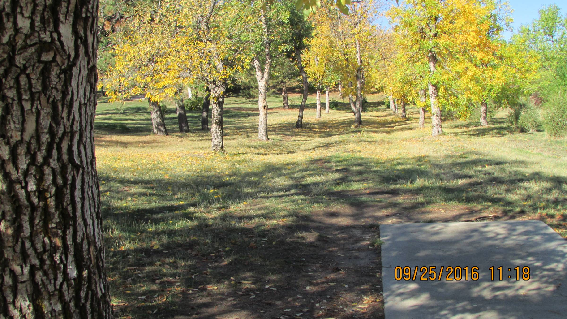Hole 5 • Energy Rotary Club Disc Golf Course (Gillette, WY) Disc Golf