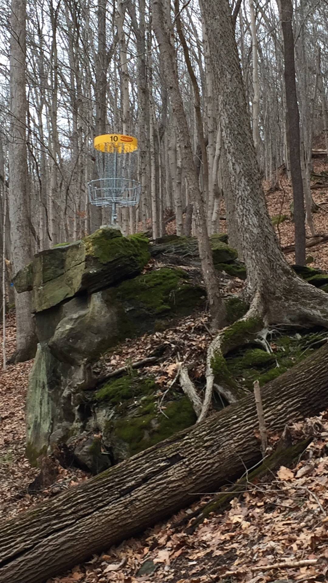 Hole 10 • Eleanor Park (Eleanor, WV) Disc Golf Courses Disc Golf Scene