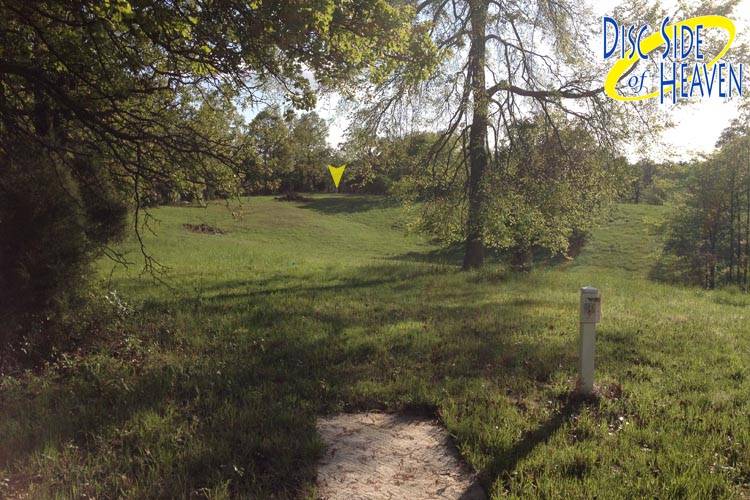 Hole 3 • Championship / Disc Side of Heaven (Jonesboro, AR) Disc Golf