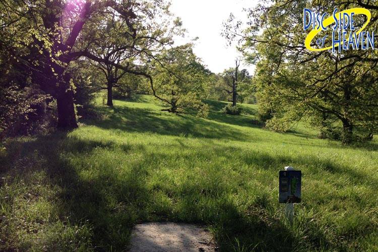 Hole 4 • Championship / Disc Side of Heaven (Jonesboro, AR) Disc Golf