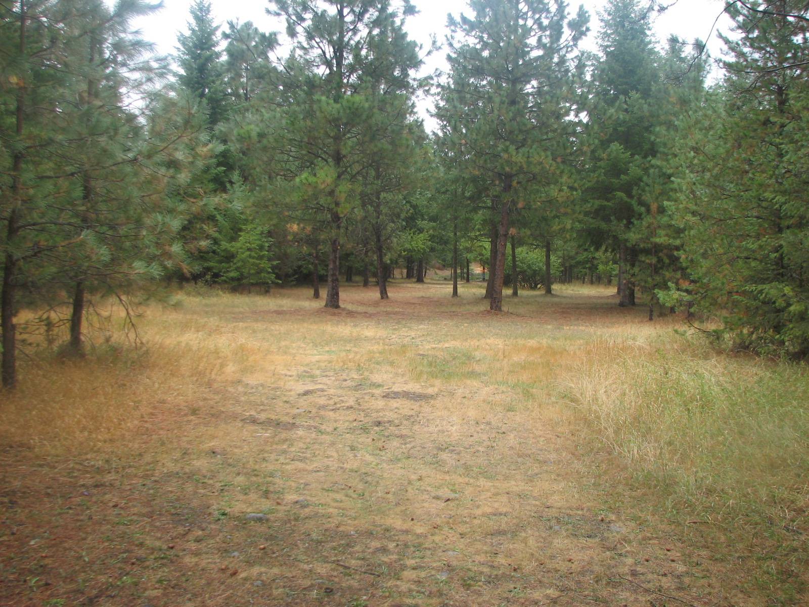 Hole 2 • Wreckcreator / Farragut State Park (Athol, ID) Disc Golf