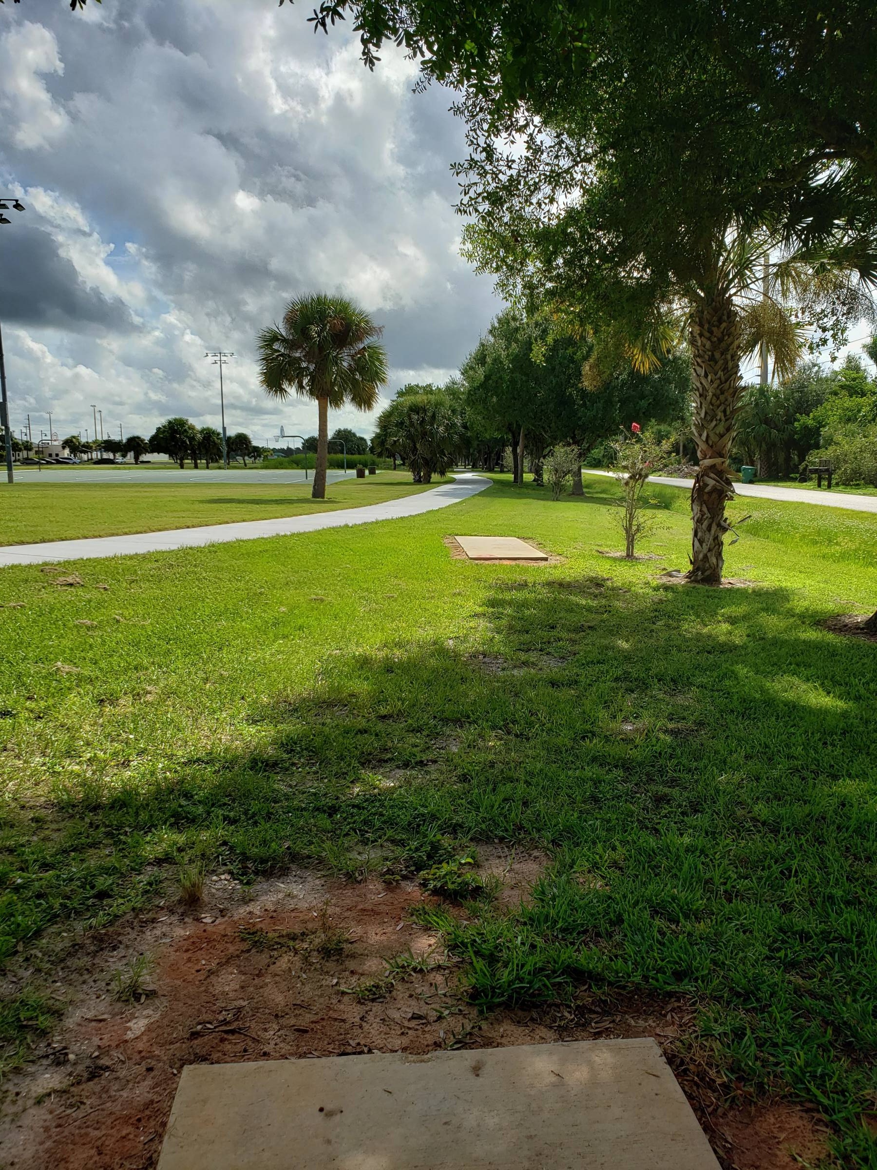 Hole 6 • South County Regional Park (Punta Gorda, FL) Disc Golf