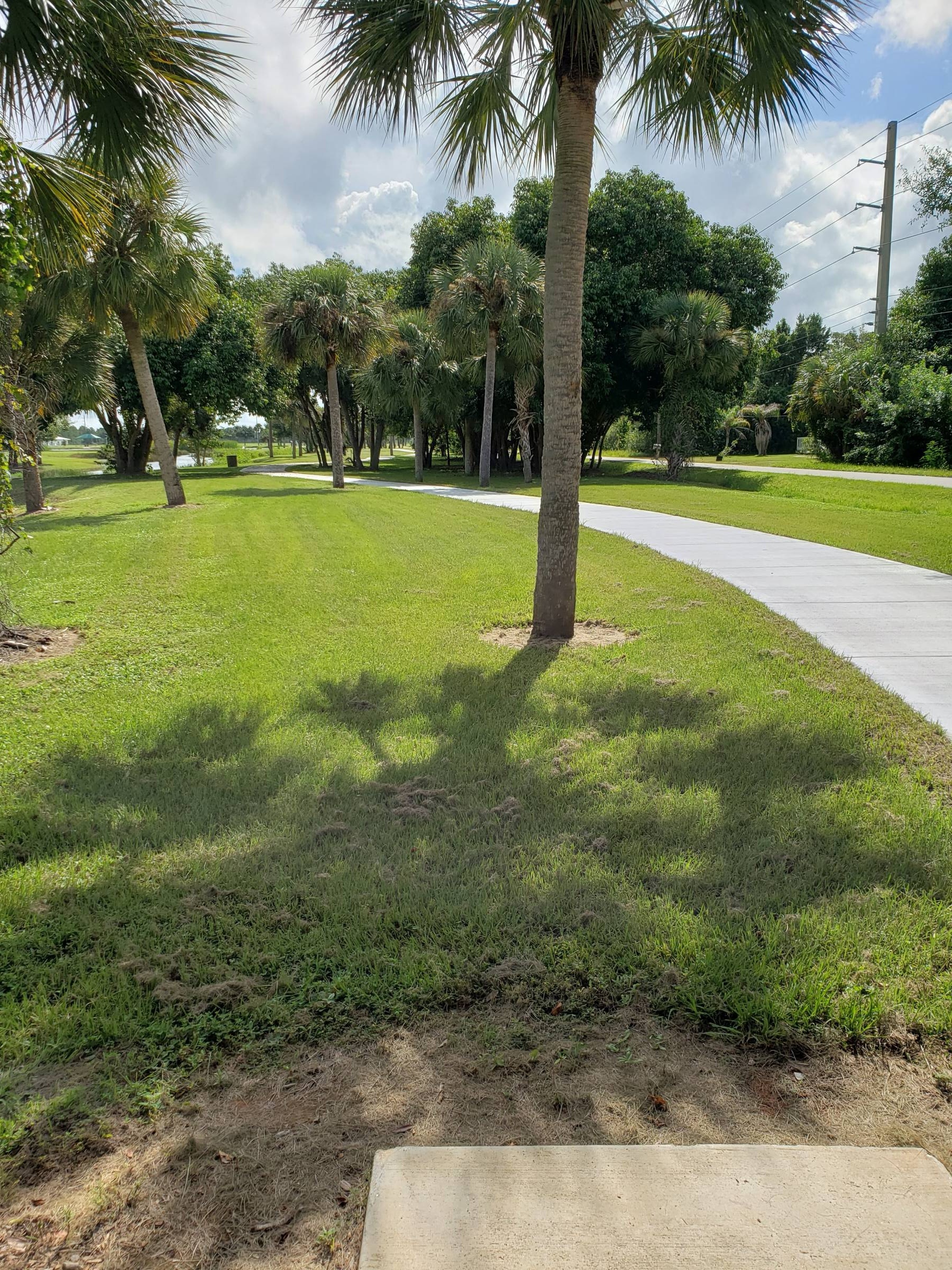 Hole 7 • South County Regional Park (Punta Gorda, FL) Disc Golf