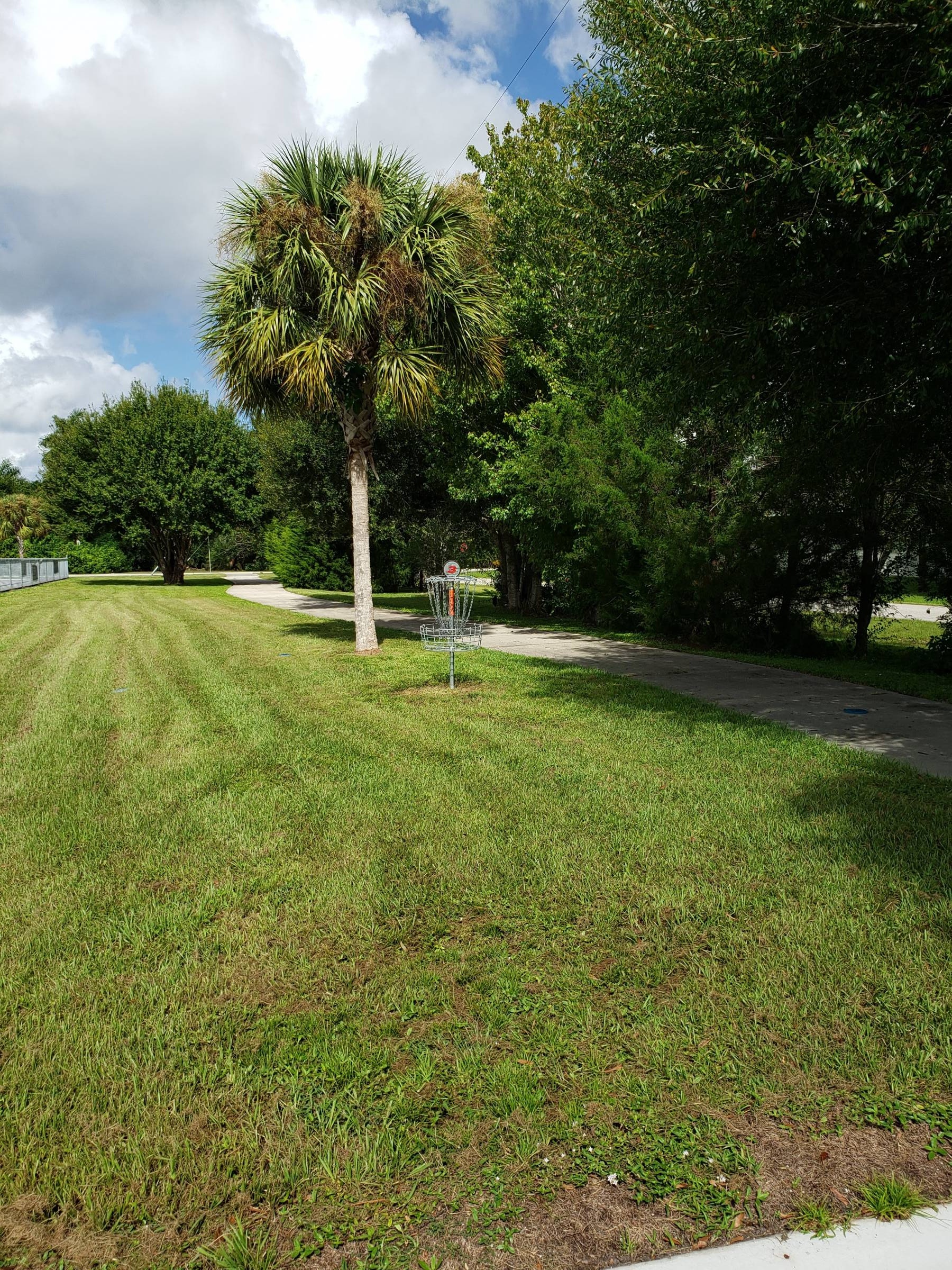 Hole 3 • South County Regional Park (Punta Gorda, FL) Disc Golf