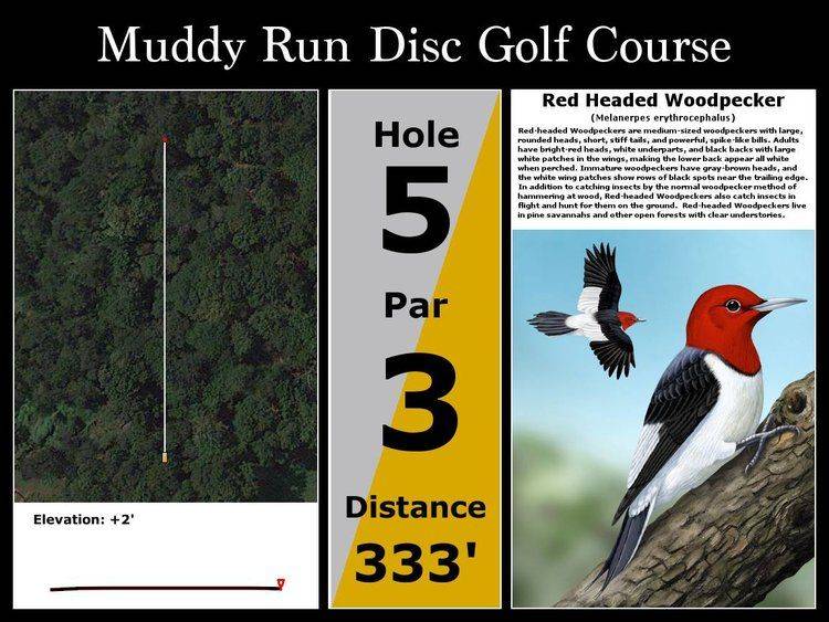 Hole 5 • Muddy Run DGC (Holtwood, PA) Disc Golf Courses Disc Golf Scene