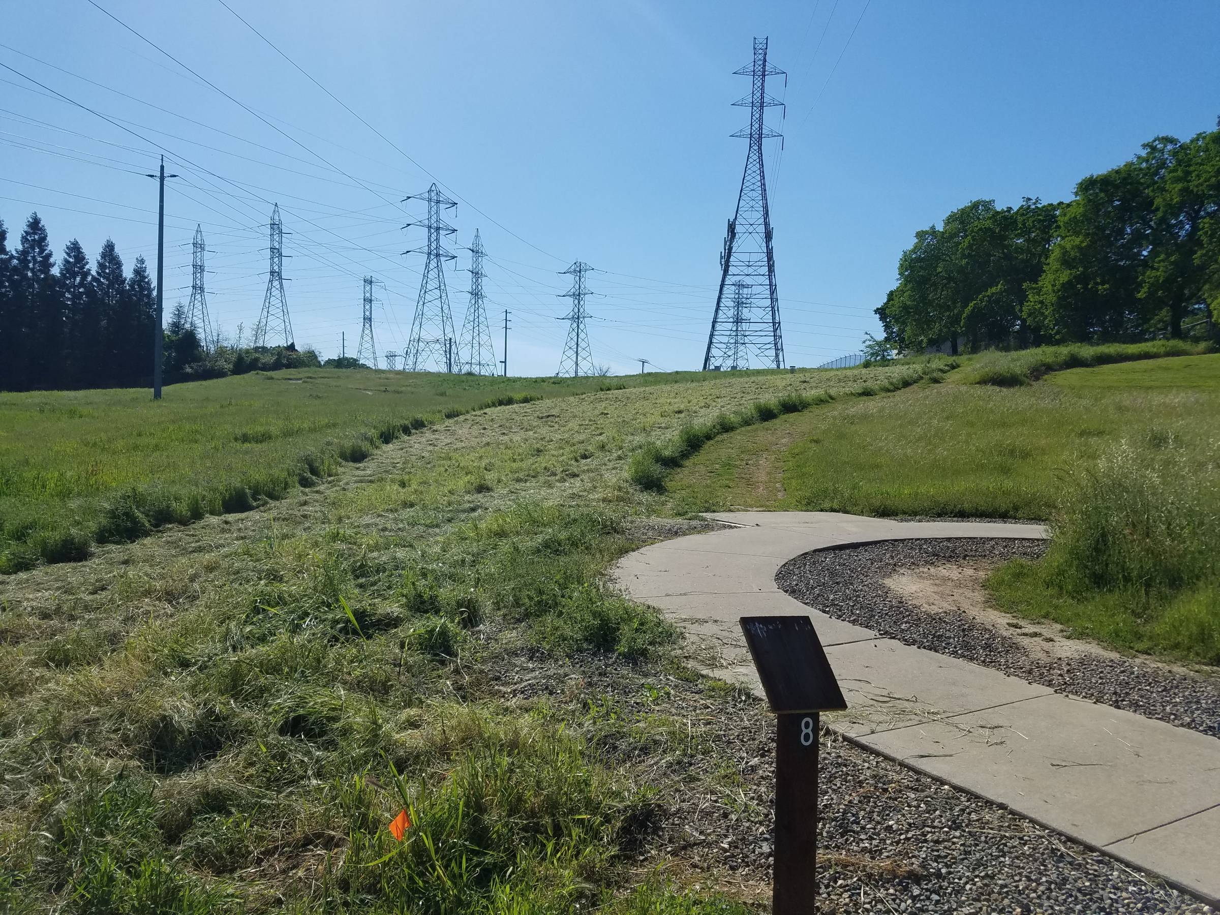Hole 8 • B.T. Collins Park (Folsom, CA) Disc Golf Courses Disc Golf