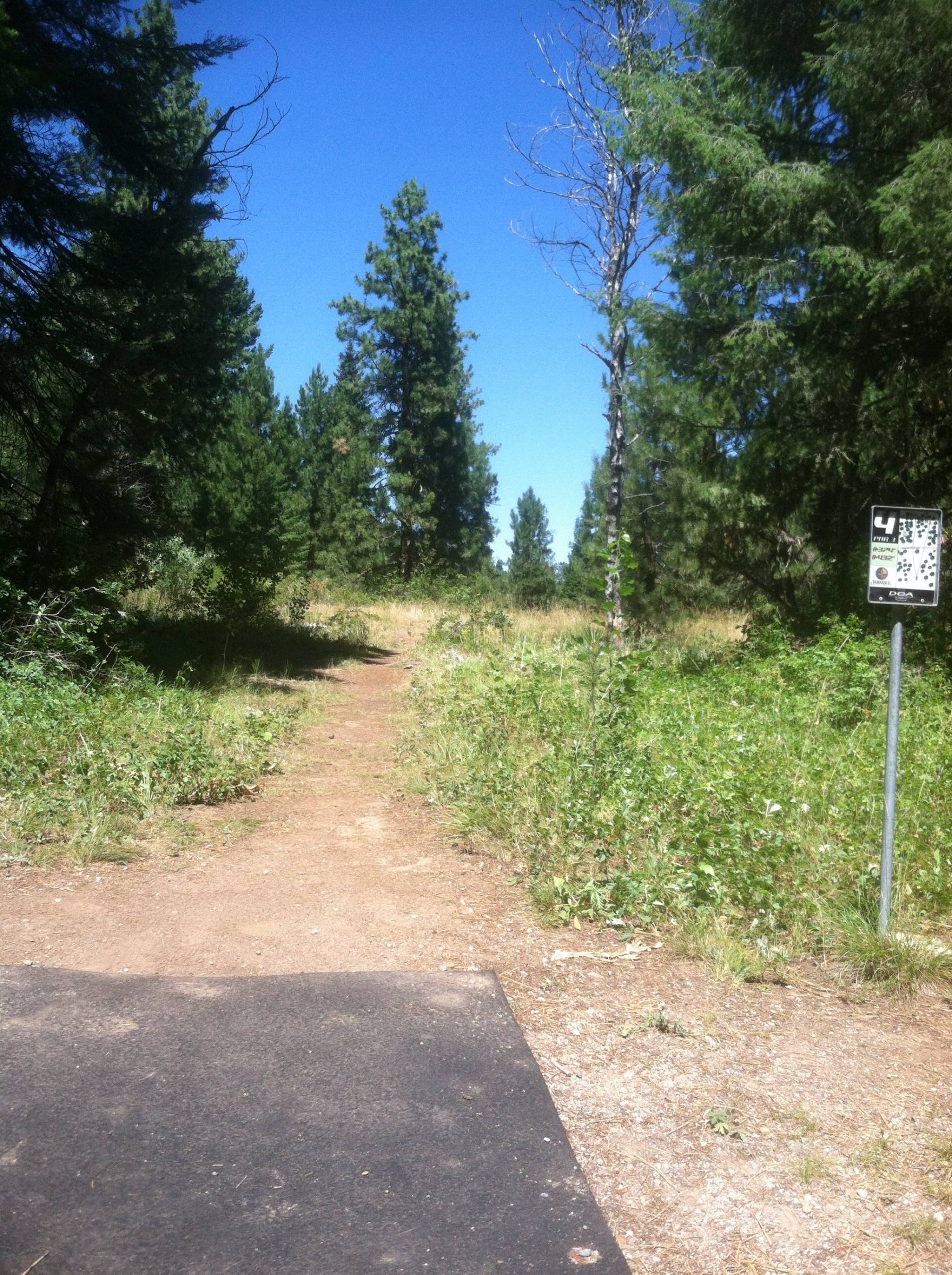 Hole 4 • Tamarack Resort (Donnelly, ID) Disc Golf Courses Disc Golf