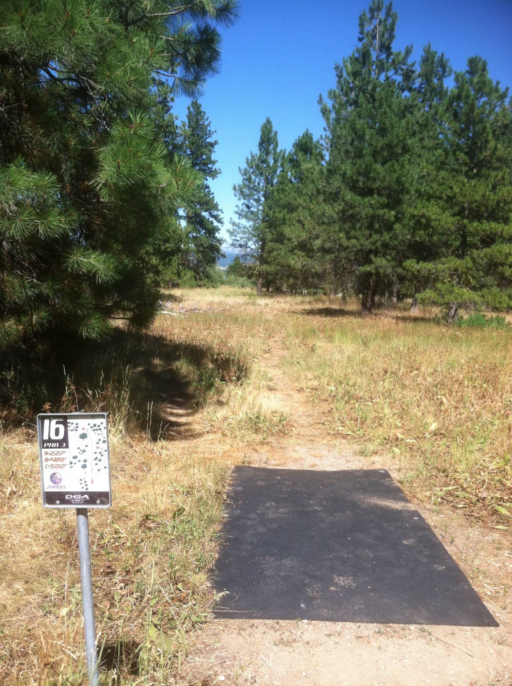 Hole 16 • Tamarack Resort (Donnelly, ID) Disc Golf Courses Disc