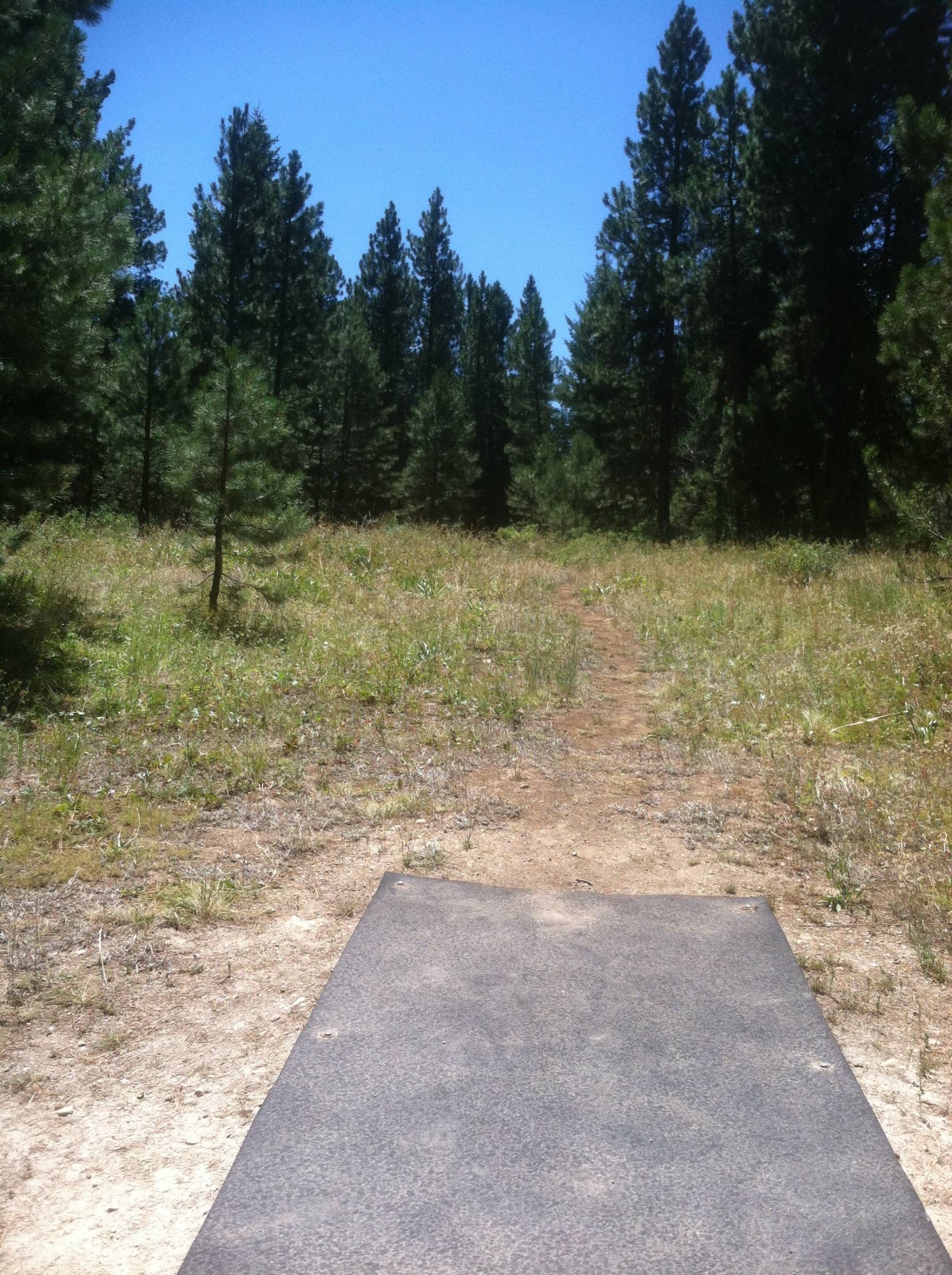 Hole 3 • Tamarack Resort (Donnelly, ID) Disc Golf Courses Disc Golf
