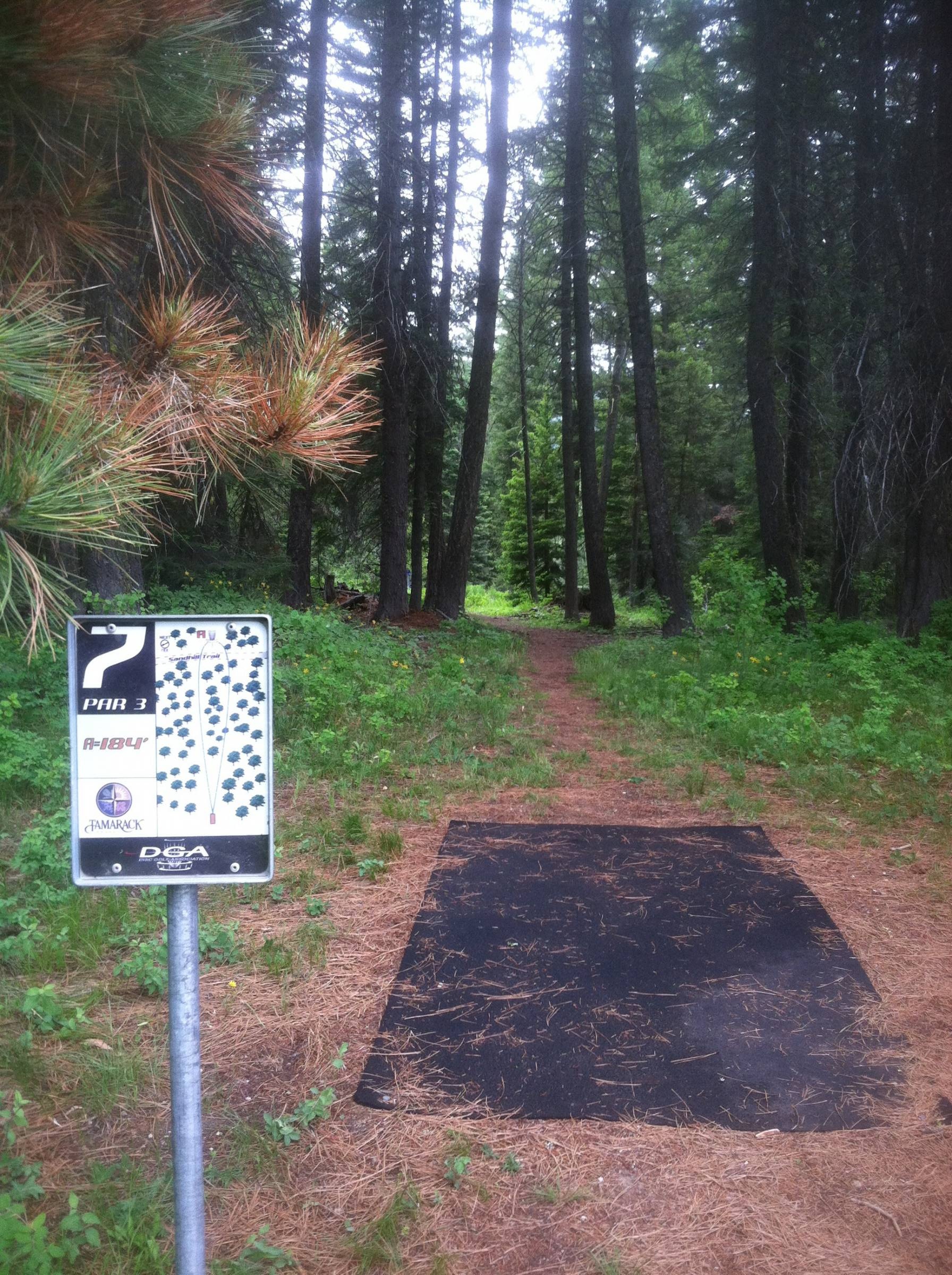 Hole 7 • Tamarack Resort (Donnelly, ID) Disc Golf Courses Disc Golf