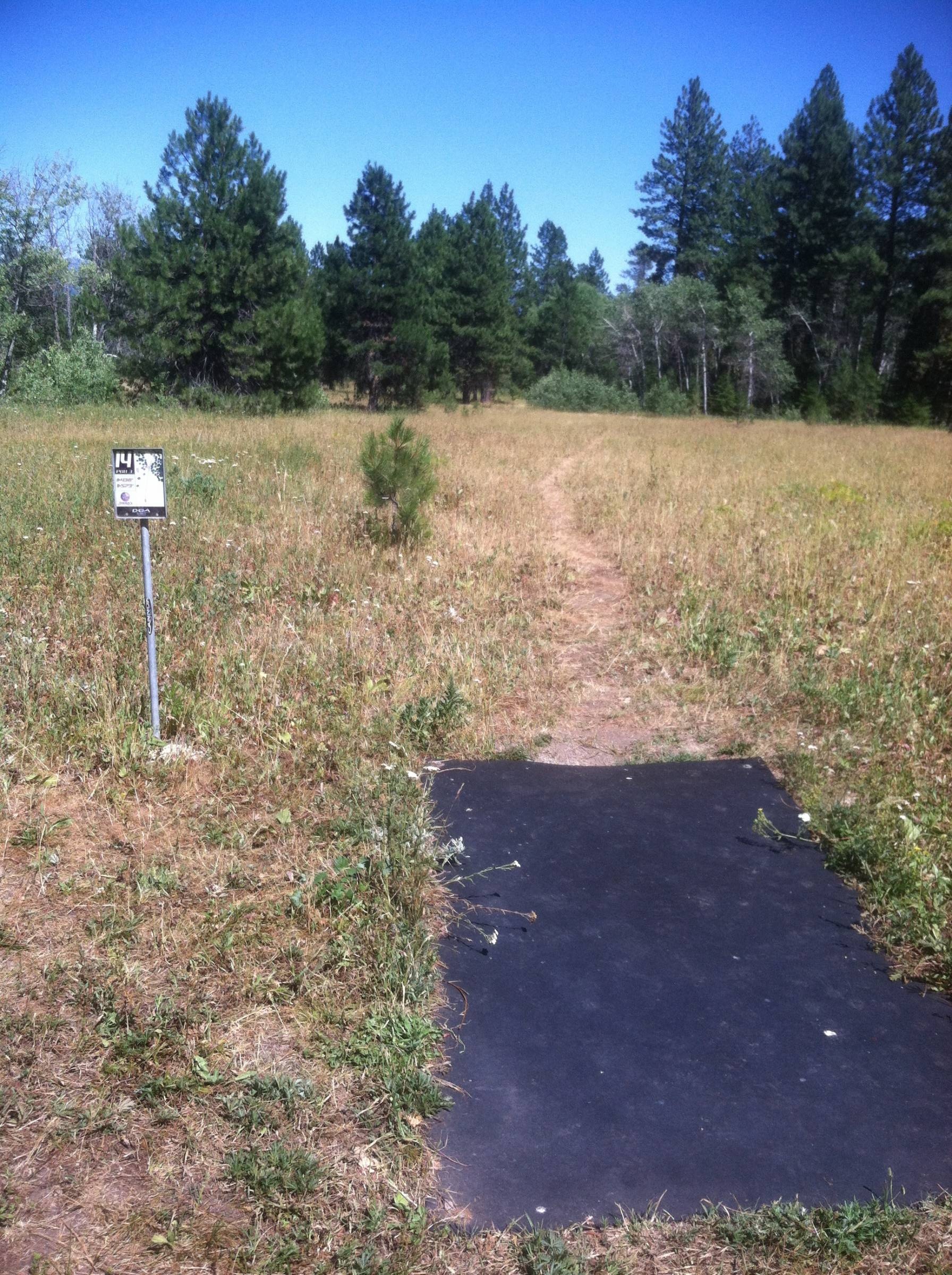 Hole 14 • Tamarack Resort (Donnelly, ID) Disc Golf Courses Disc