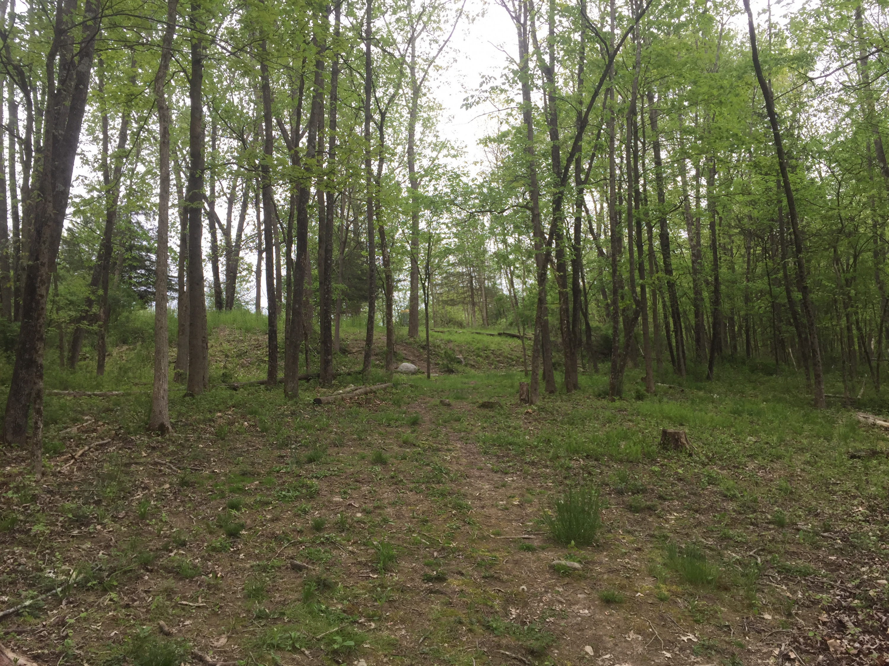 Hole 6 • Majestic Park (Gardiner, NY) Disc Golf Courses Disc Golf Scene