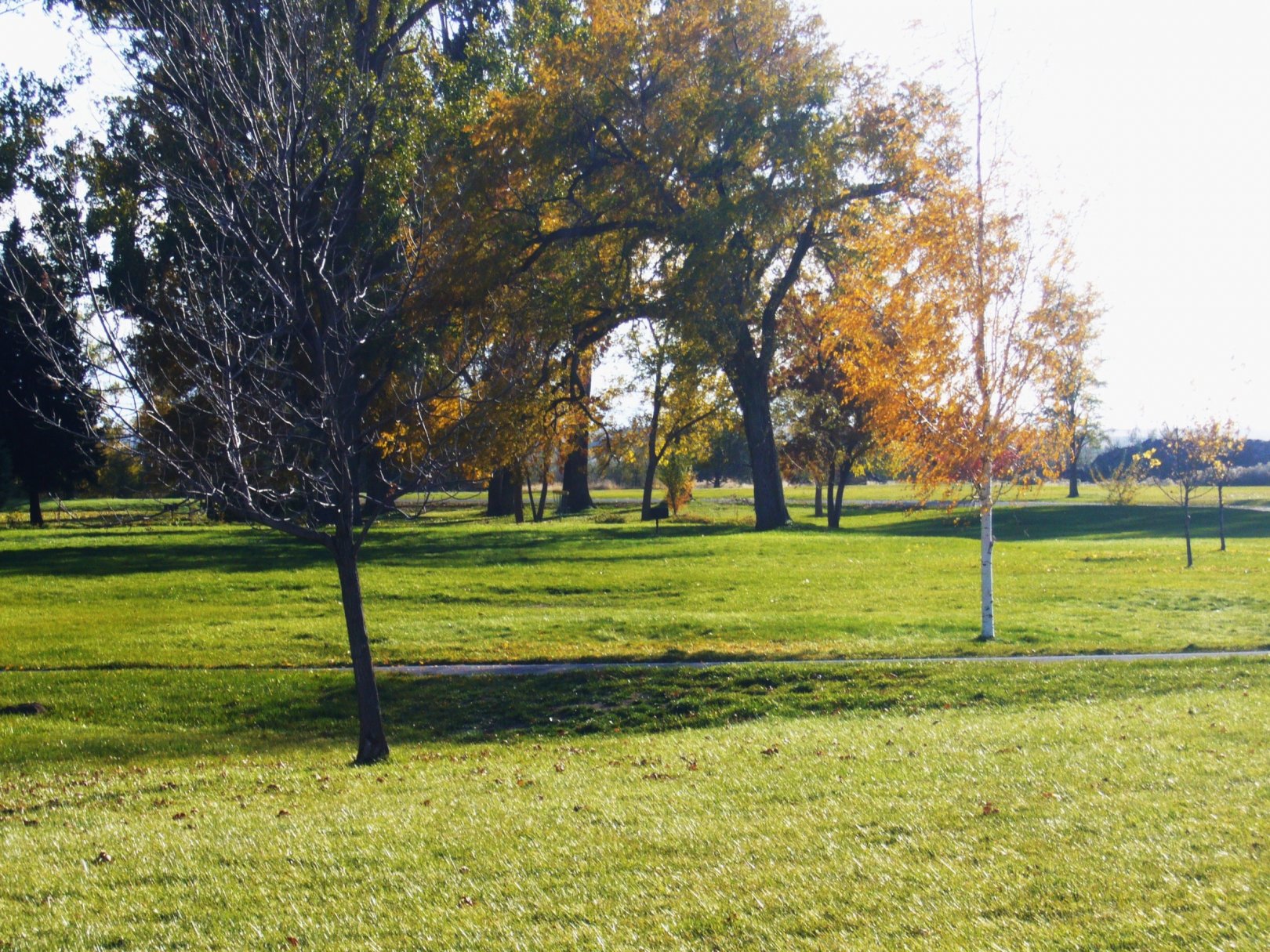 Hole 6 • Lake Walcott State Park (Rupert, ID) Disc Golf Courses