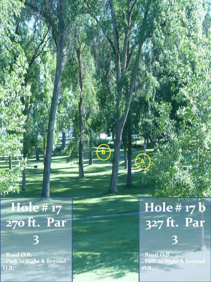 Hole 17 • Lake Walcott State Park (Rupert, ID) Disc Golf Courses