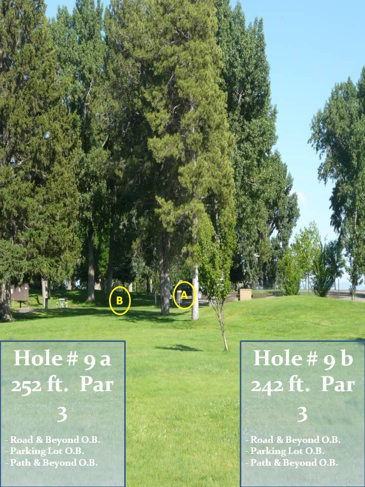 Hole 9 • Lake Walcott State Park (Rupert, ID) Disc Golf Courses