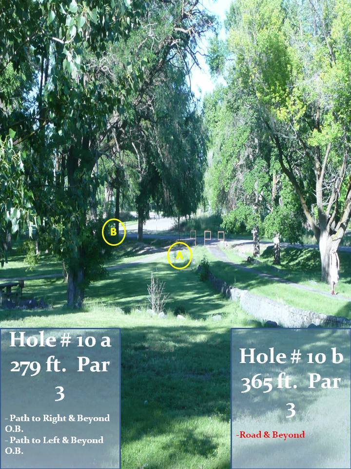 Hole 10 • Lake Walcott State Park (Rupert, ID) Disc Golf Courses