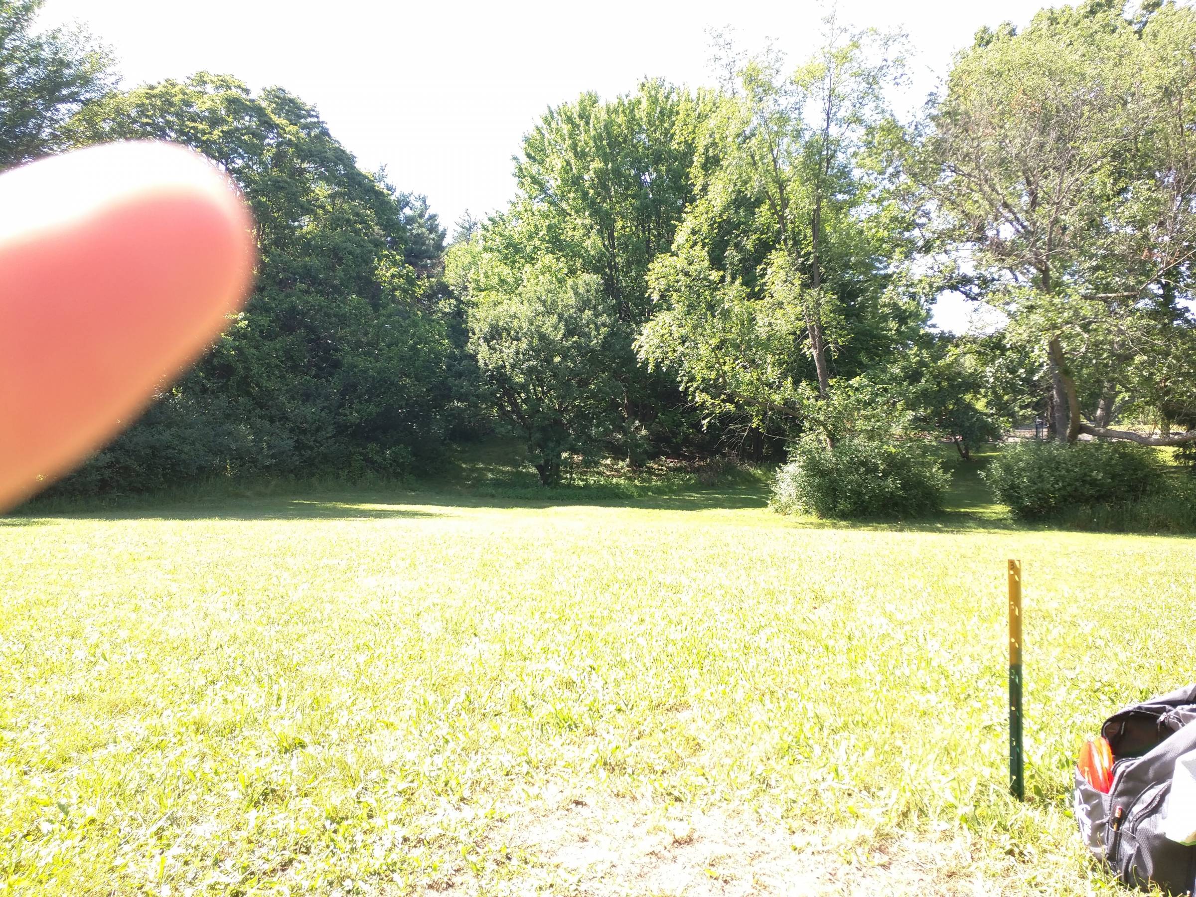 Hole 4 • Spring Valley Park (Kalamazoo, MI) Disc Golf Courses Disc