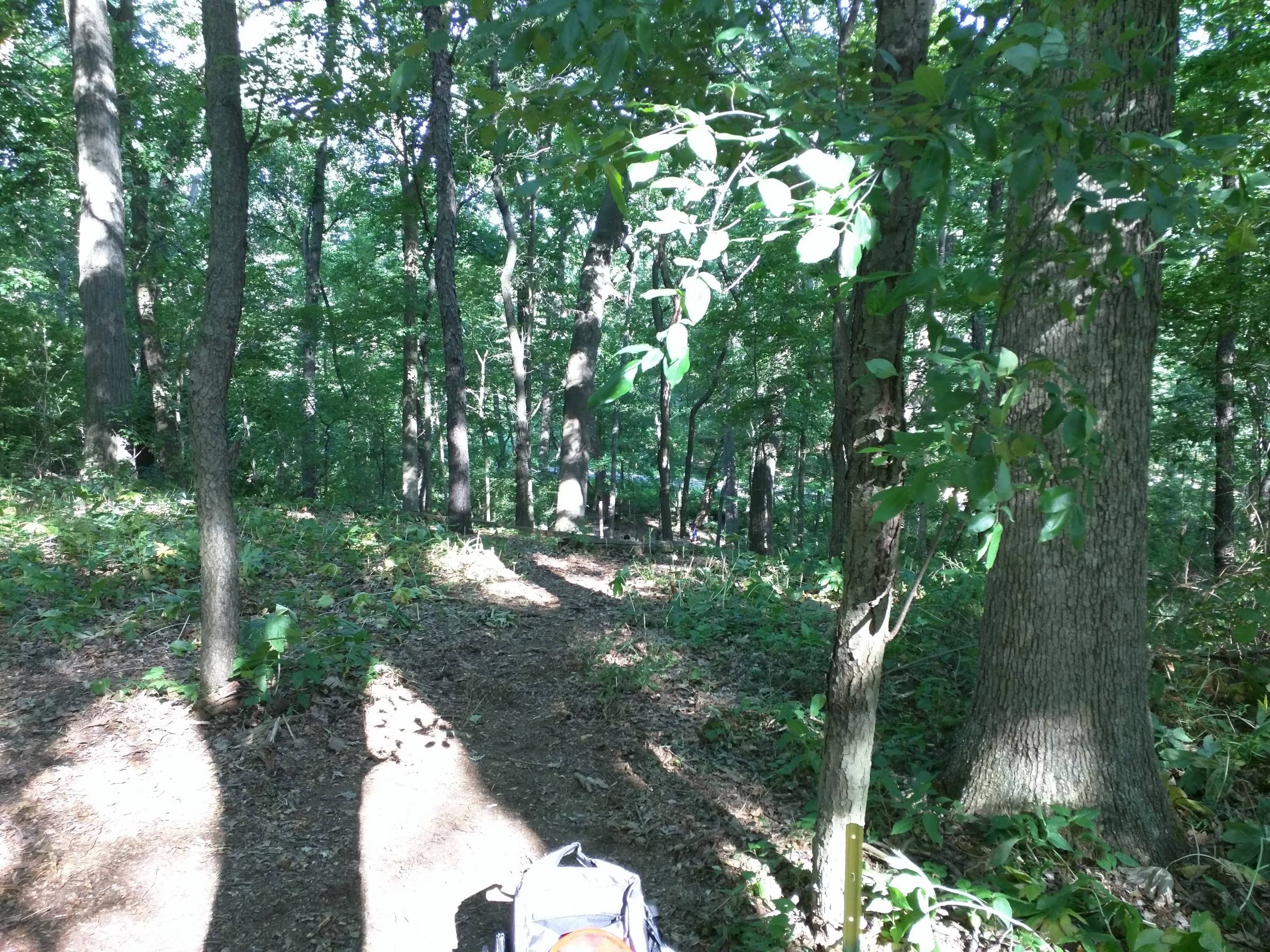 Hole 14 • Spring Valley Park (Kalamazoo, MI) Disc Golf Courses Disc