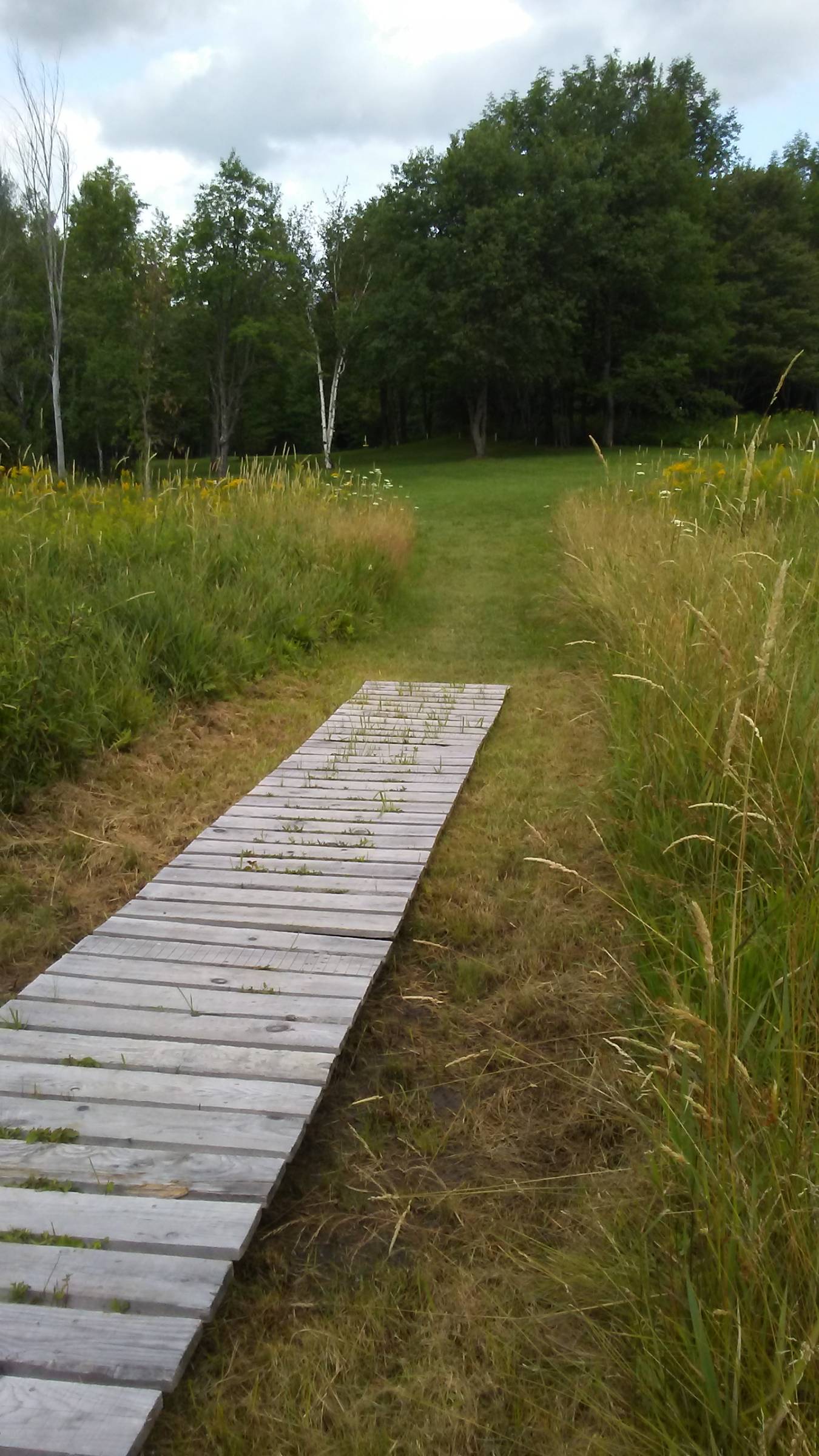 Hole 1 • Fox Run / Smugglers' Notch Resort (Jeffersonvile, VT) Disc