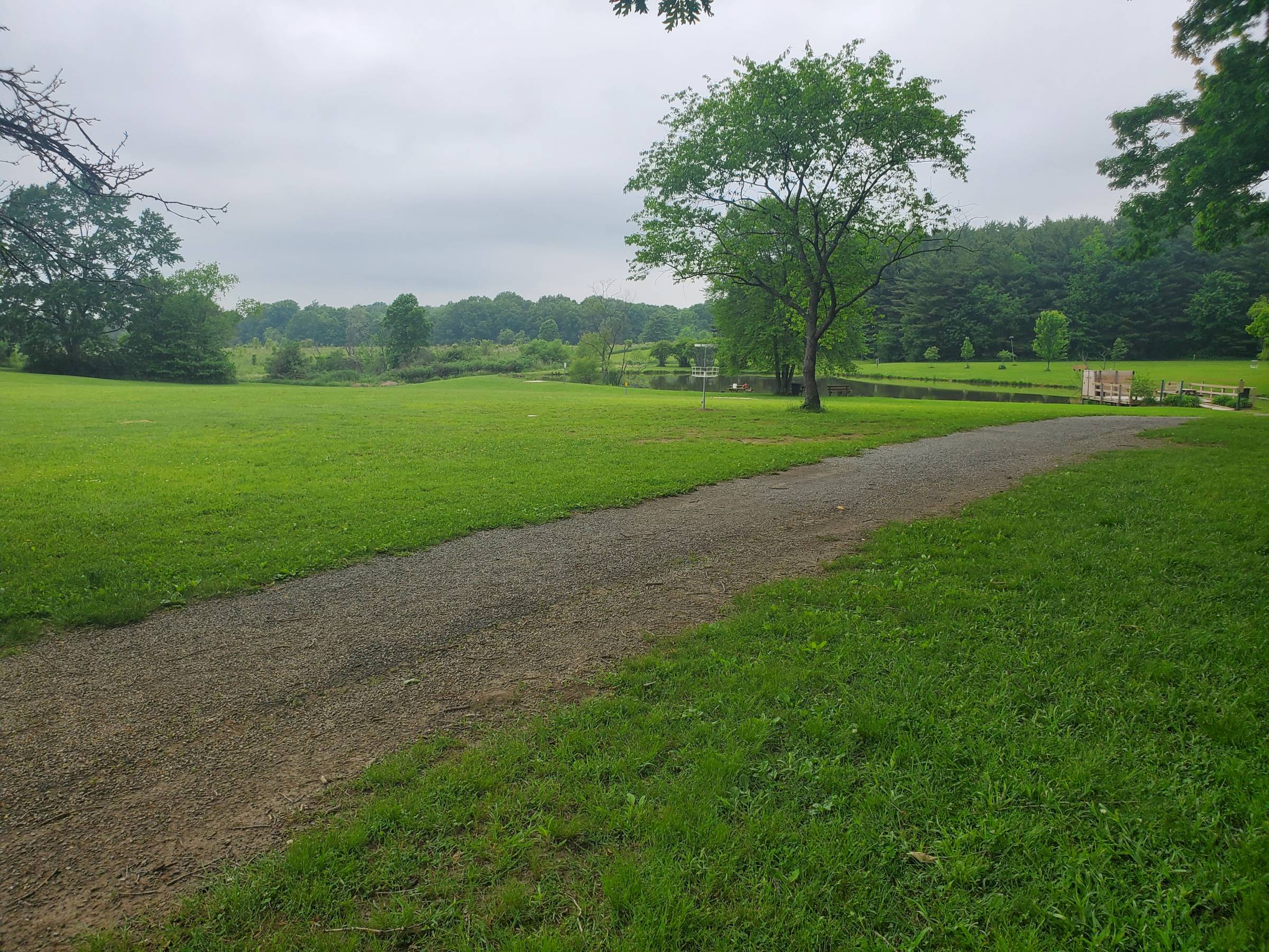 Hole 1 • Austintown Twp. Park (Austintown, OH) Disc Golf Courses